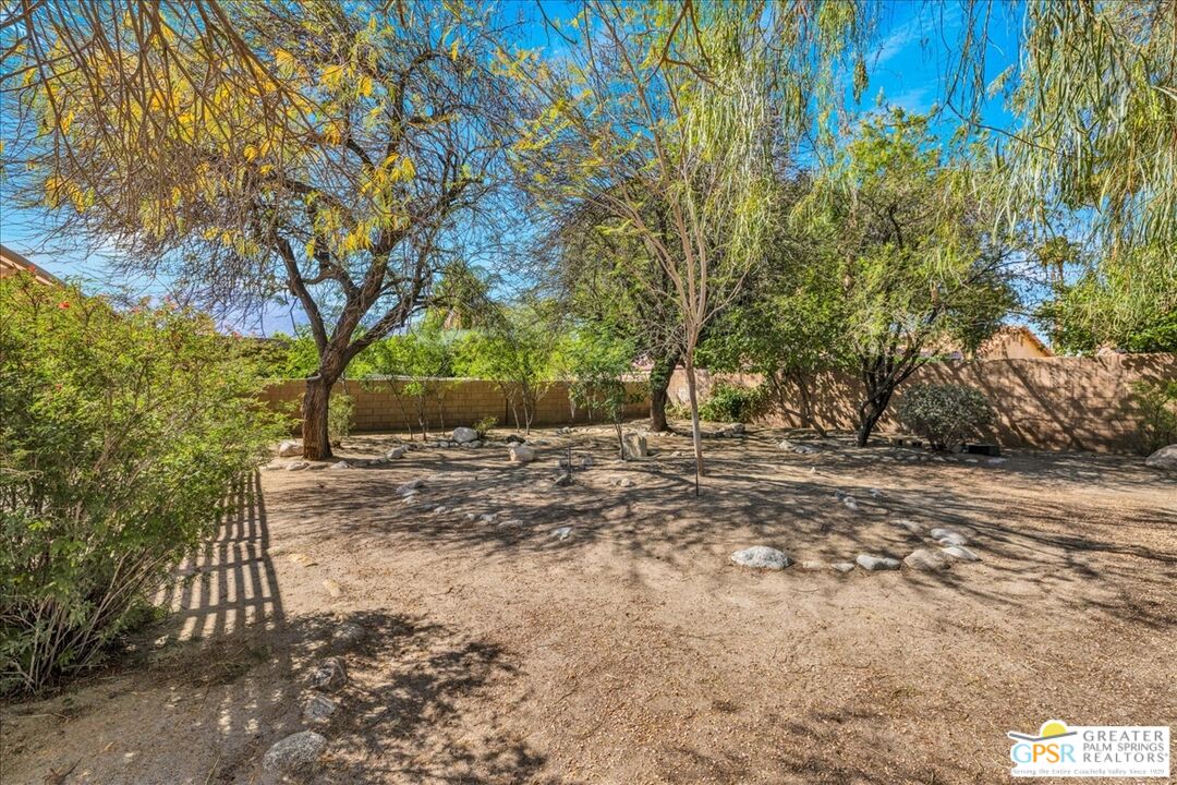 68130 Hermosillo Road Cathedral City, CA 92234 - Photo 40 of 49 a view of a yard with plants and trees