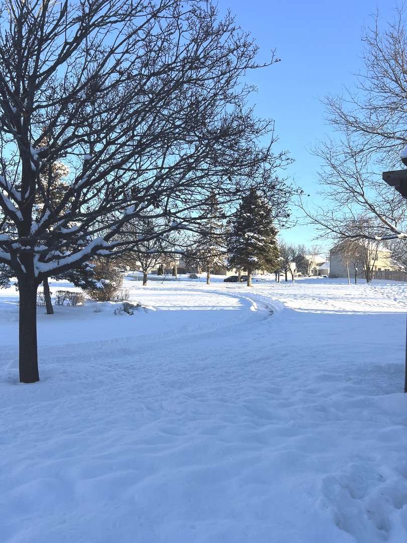 2233 Dawson Lane Algonquin, IL 60102 - Photo 4 of 52