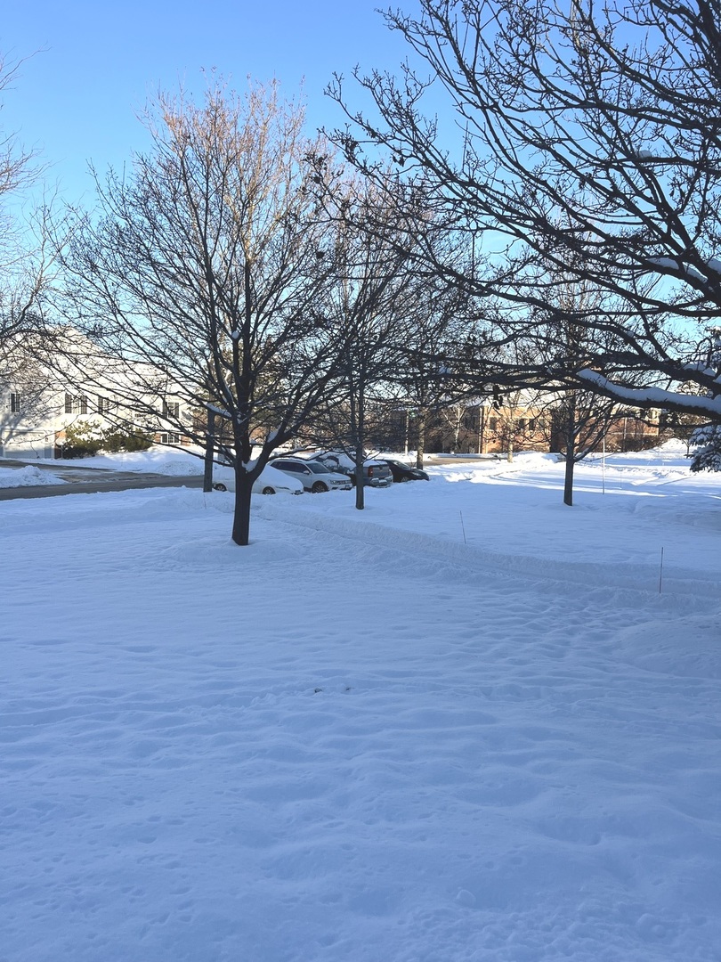 2233 Dawson Lane Algonquin, IL 60102 - Photo 5 of 52 a view of empty space with large trees