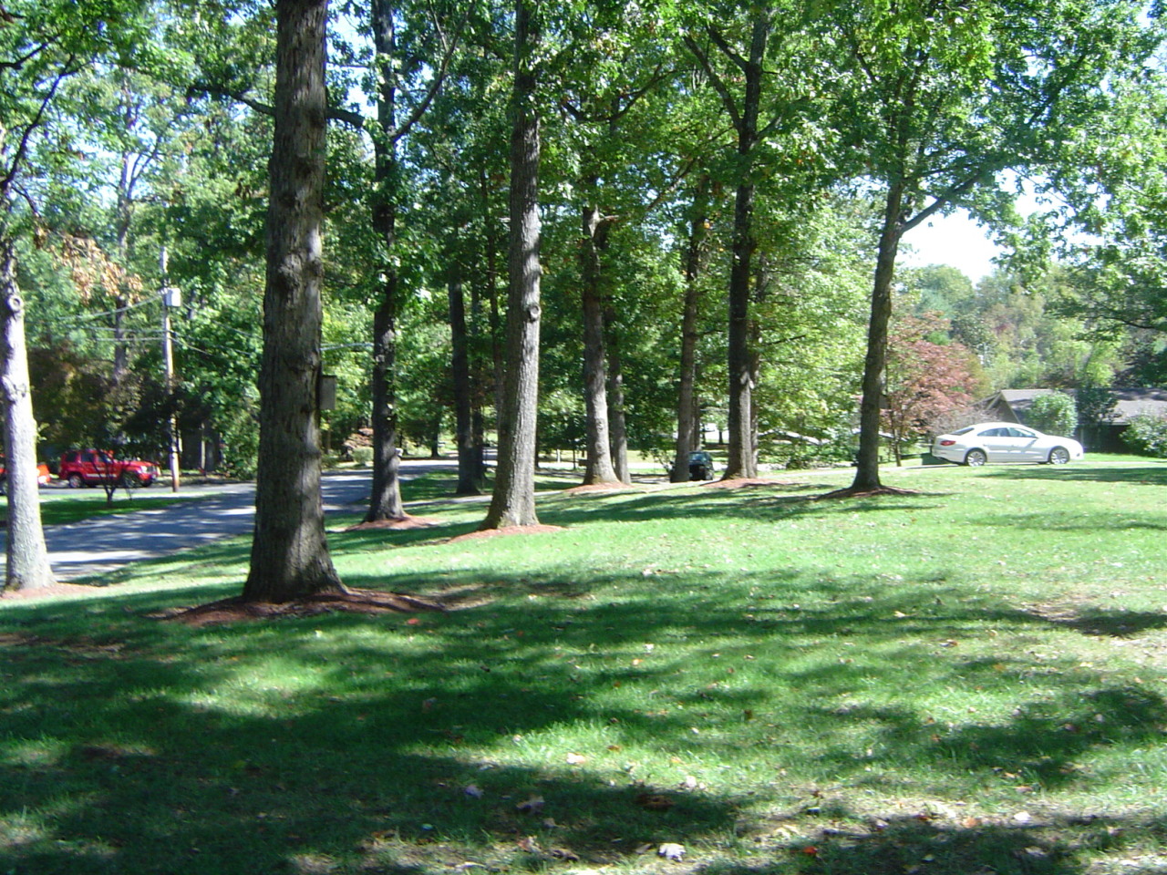 DSC00126