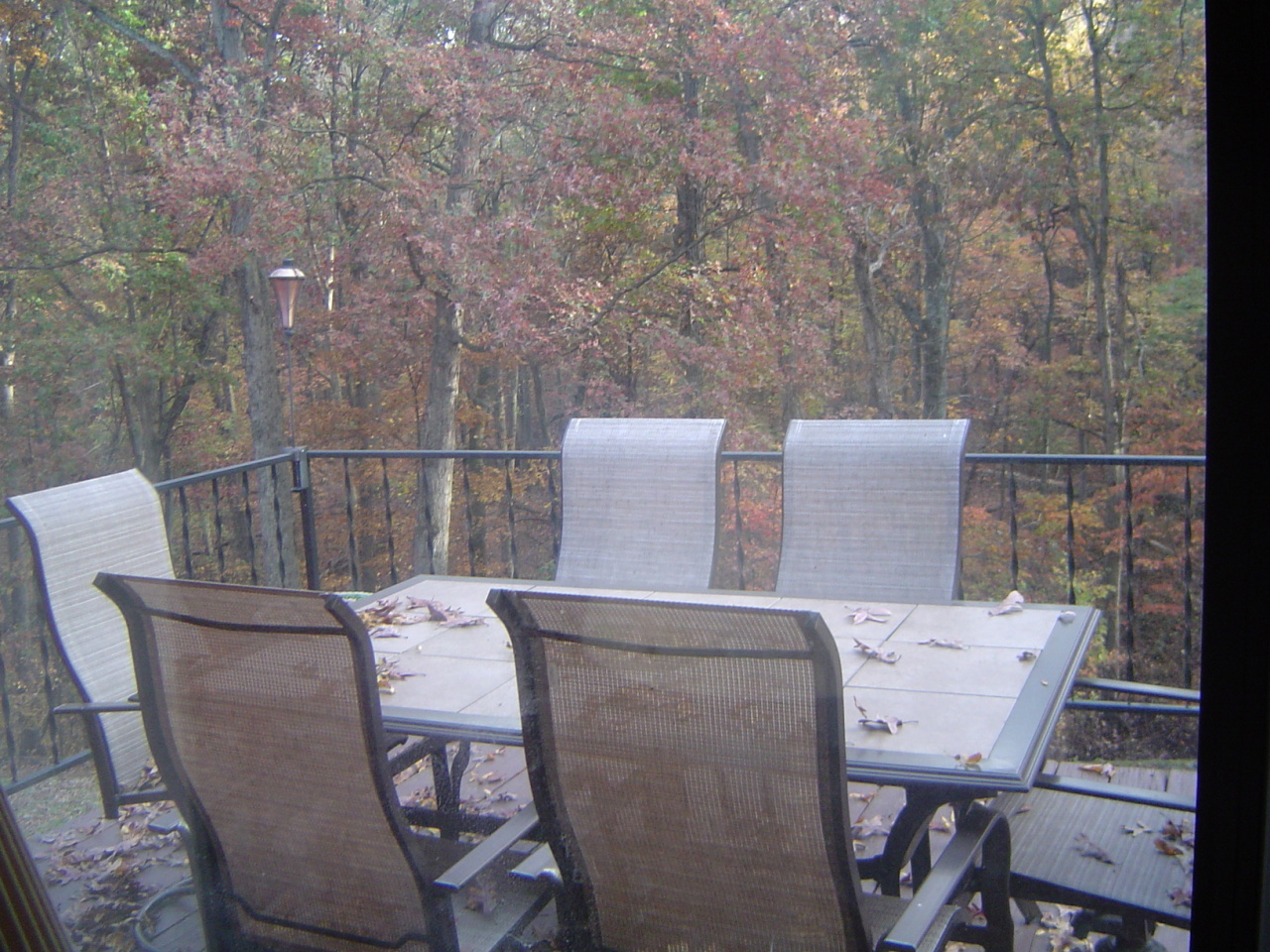 4712 Oak Road Northwest Roanoke, VA 24017 - Photo 17 of 33 DSC00004
