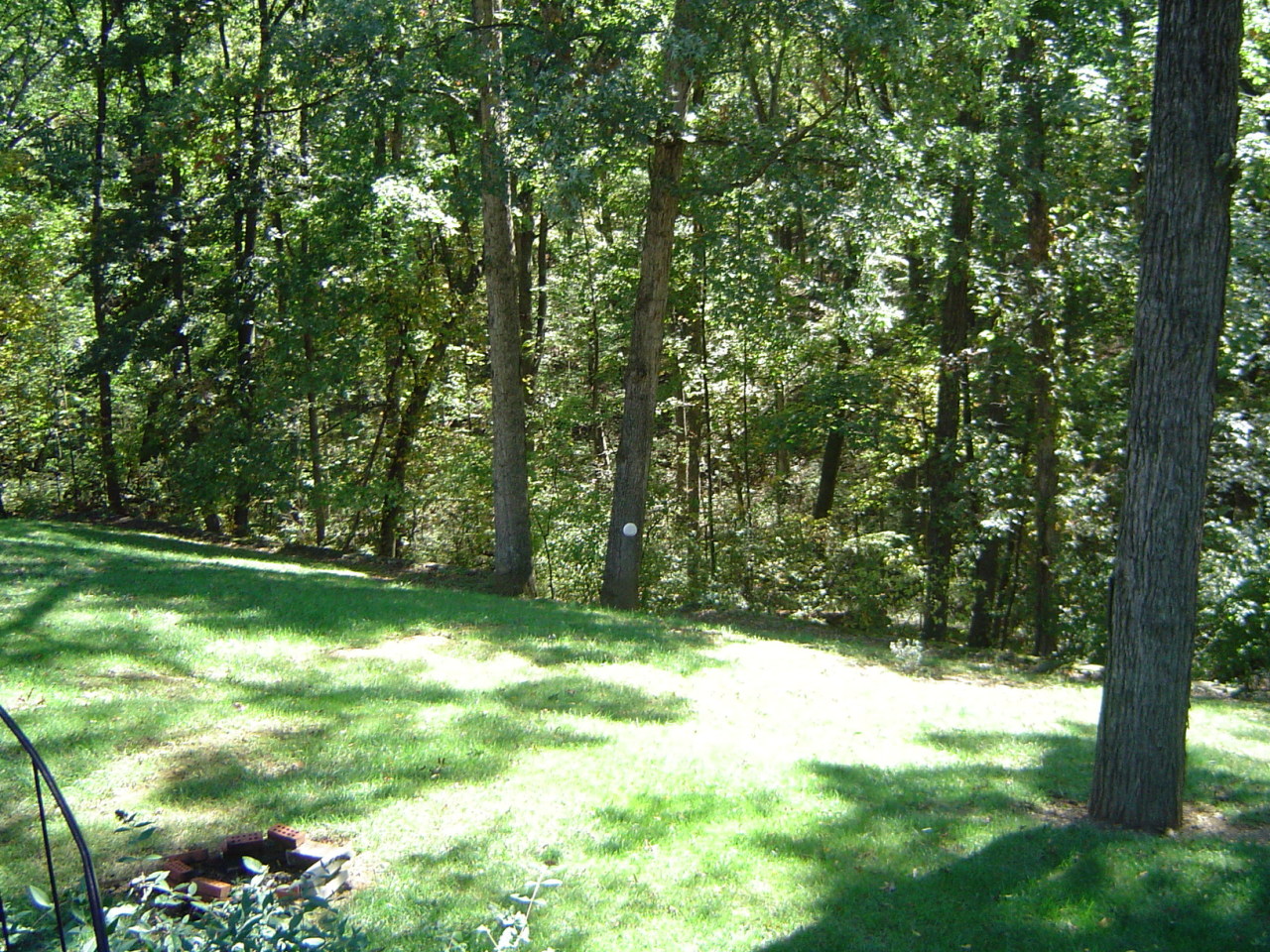 4712 Oak Road Northwest Roanoke, VA 24017 - Photo 9 of 33 DSC00134