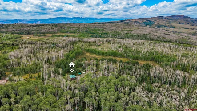 a view of outdoor space with trees all around