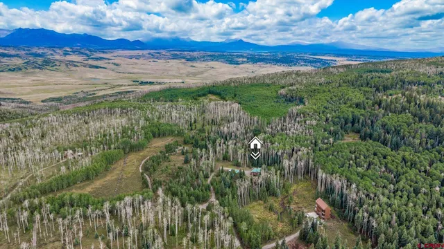 a view of a city with lush green forest