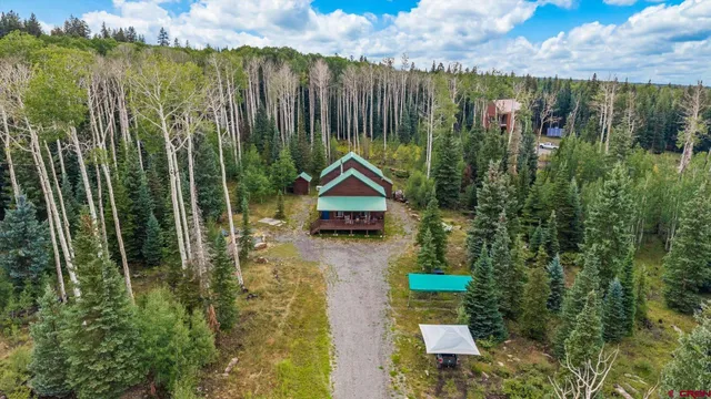 a view of a backyard with plants