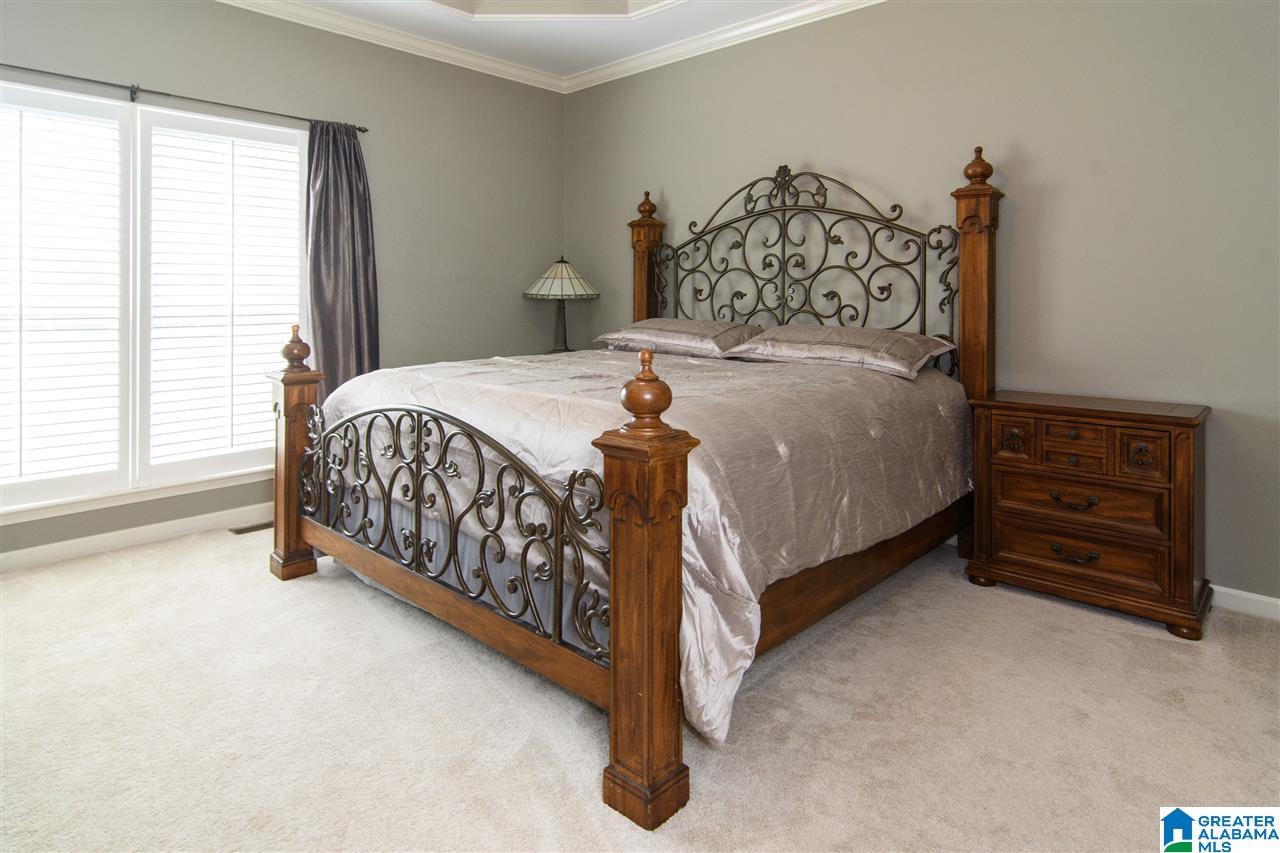 124 Astor Circle Chelsea, AL 35043 - Photo 19 of 50