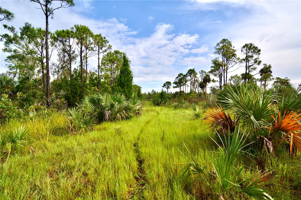 0 Lots 18 19 Adams Beach Road Perry, FL 32348 - Photo 5 of 25