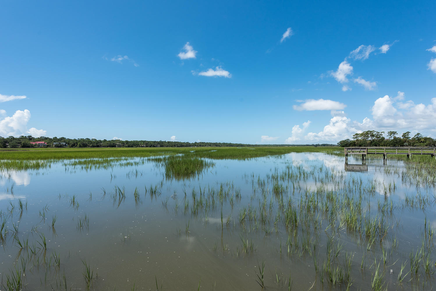 2605 Jenkins Point Road Johns Island, SC 29455 - Photo 43 of 44 View 2