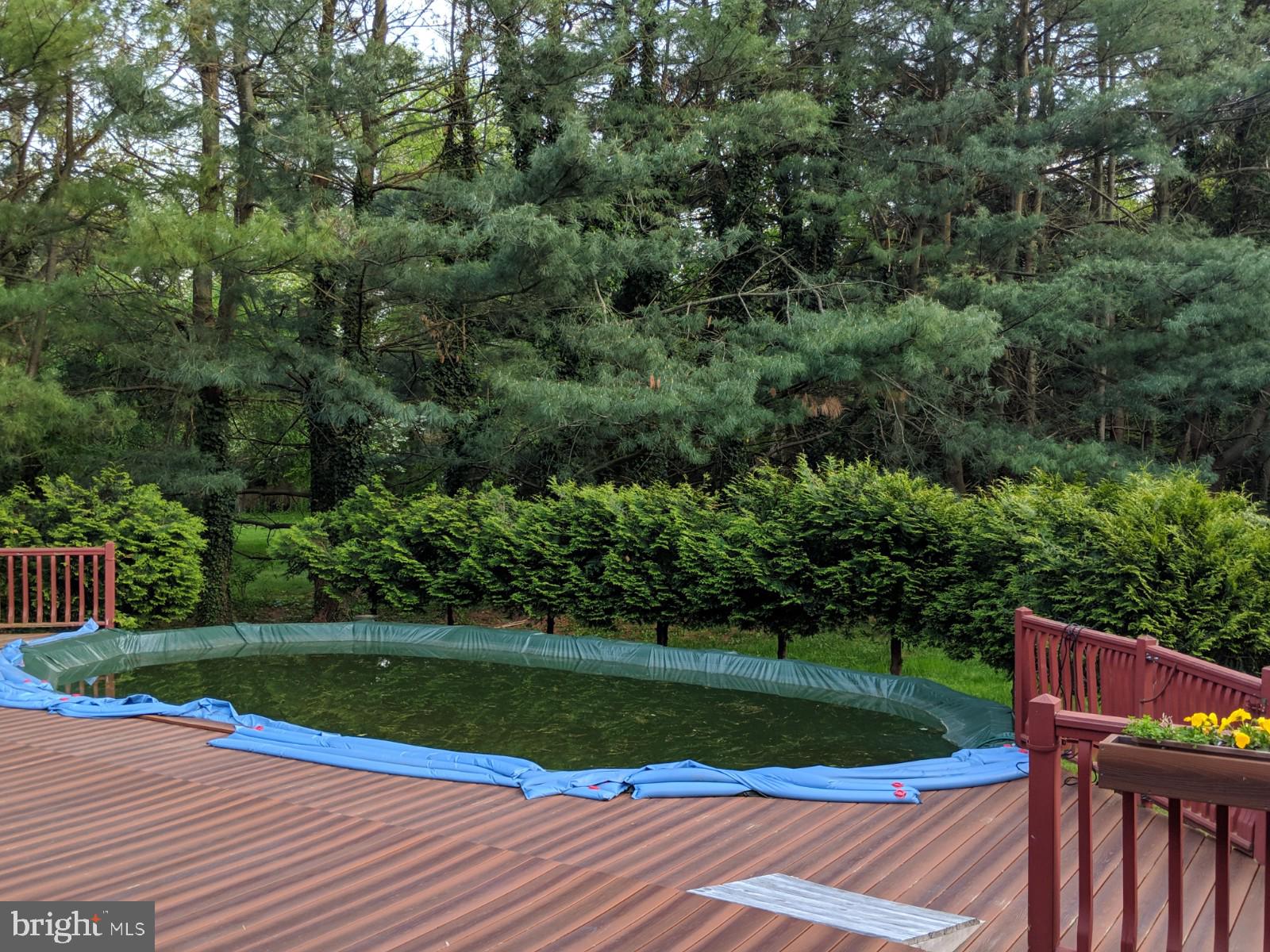282 Province Line Road Wrightstown, NJ 08562 - Photo 7 of 50 Above Ground Pool with Trek Deck