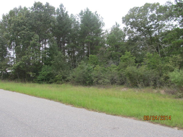 / Spring Valley Drive, Unit 75 Byron, GA 31008 - Photo 2 of 6 a view of a field with a trees in the background