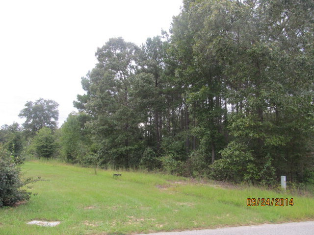 / Spring Valley Drive, Unit 75 Byron, GA 31008 - Photo 4 of 6 a view of a green field with lots of bushes