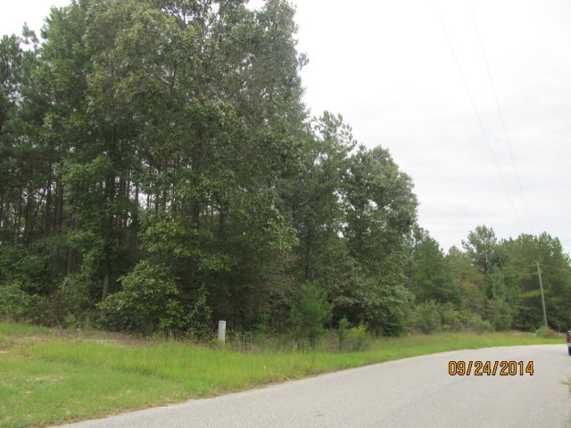 / Spring Valley Drive, Unit 75 Byron, GA 31008 - Photo 5 of 6 a view of a park from a garden