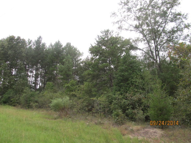 / Spring Valley Drive, Unit 75 Byron, GA 31008 - Photo 6 of 6 a view of a yard