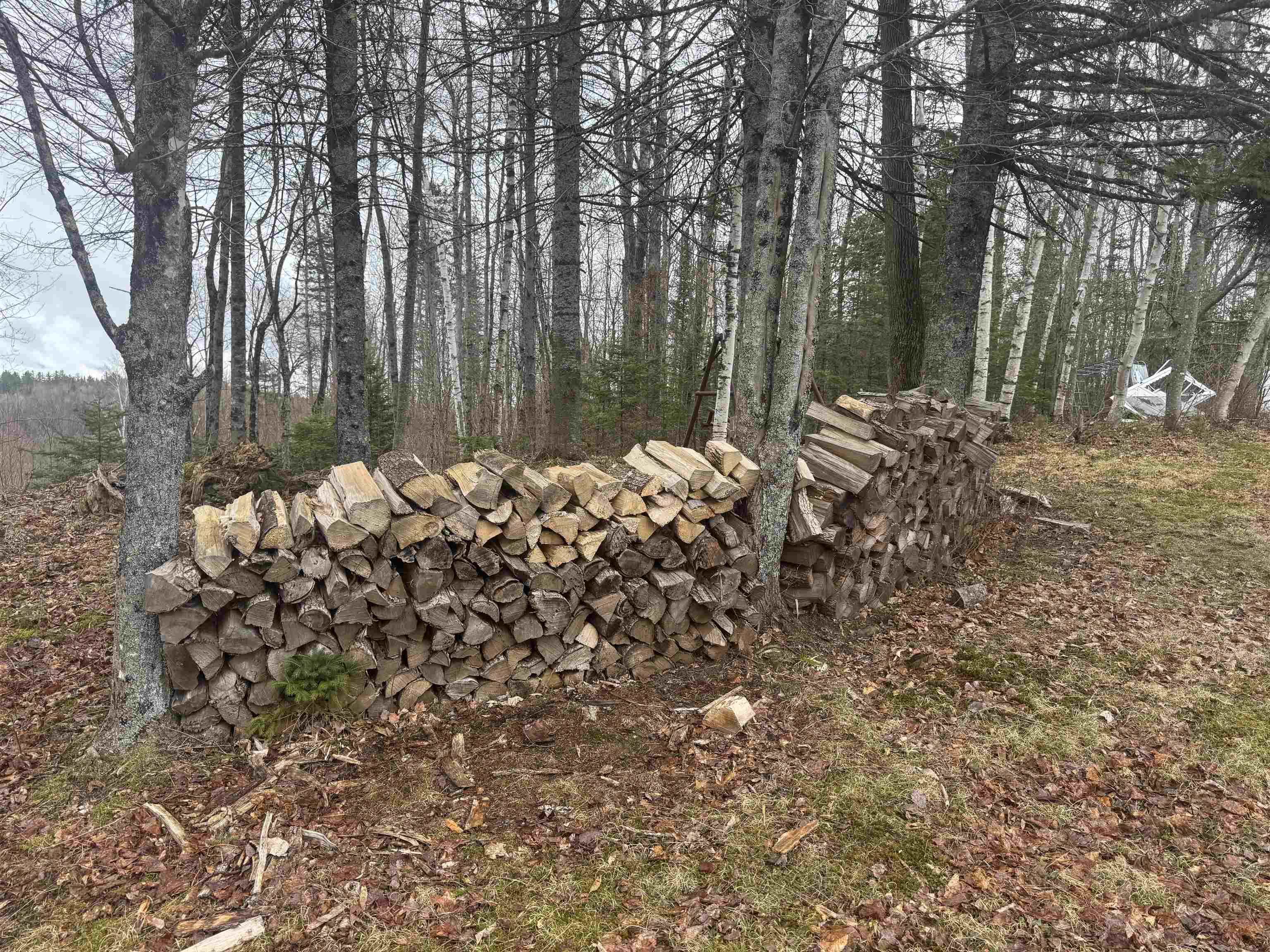 231 John Rock Road Wheelock, VT 05851 - Photo 11 of 22