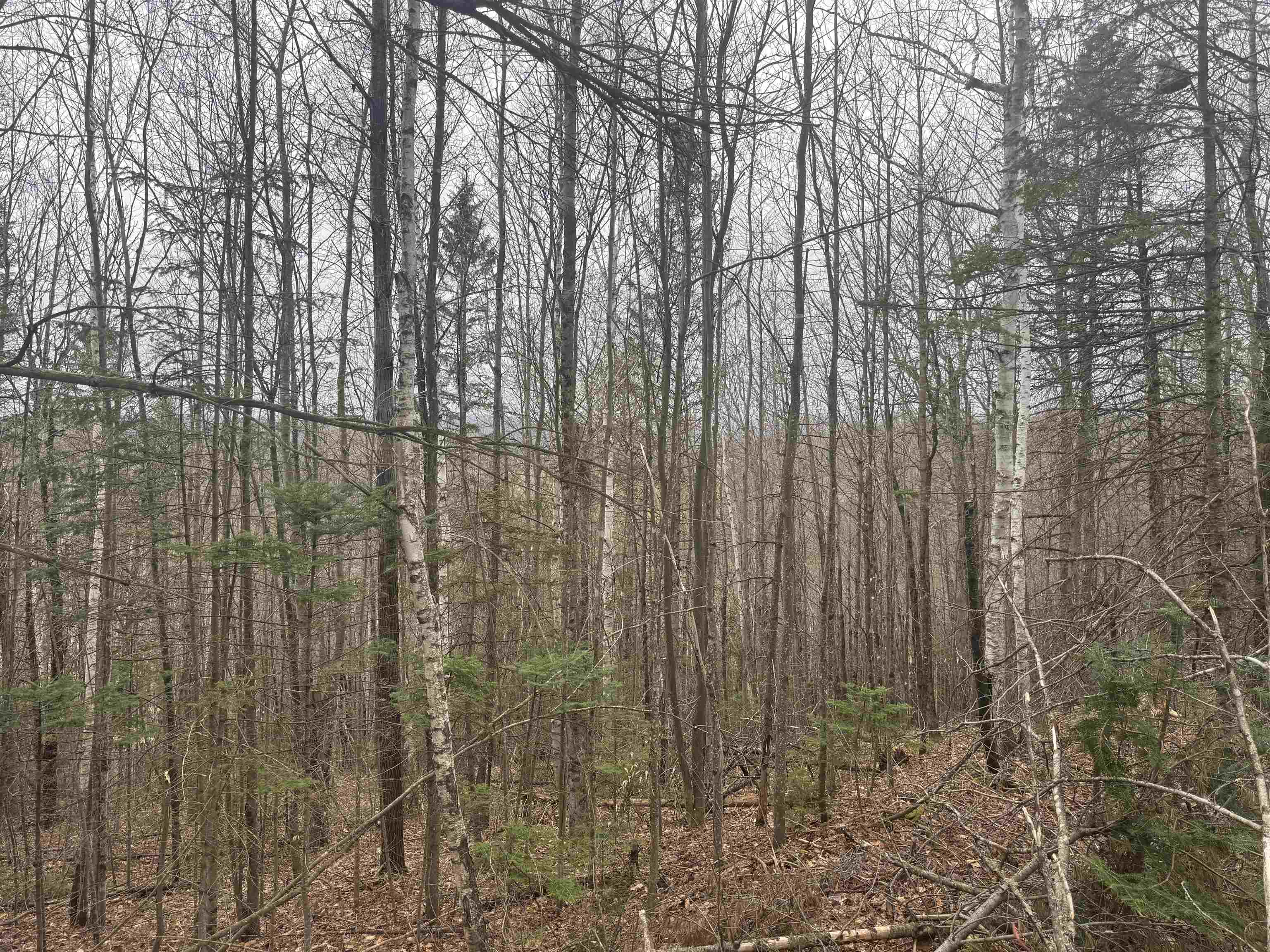 231 John Rock Road Wheelock, VT 05851 - Photo 7 of 22