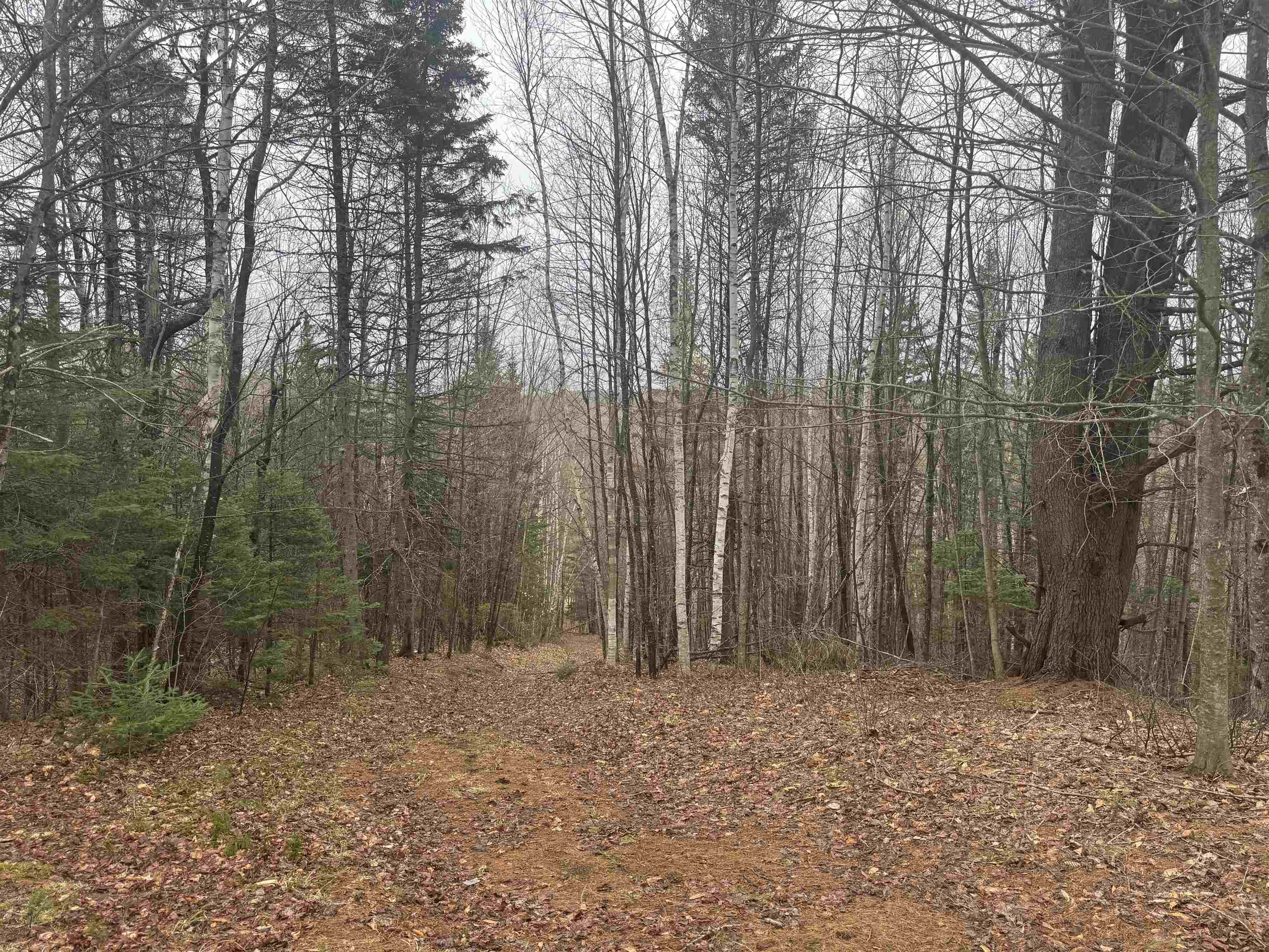231 John Rock Road Wheelock, VT 05851 - Photo 9 of 22
