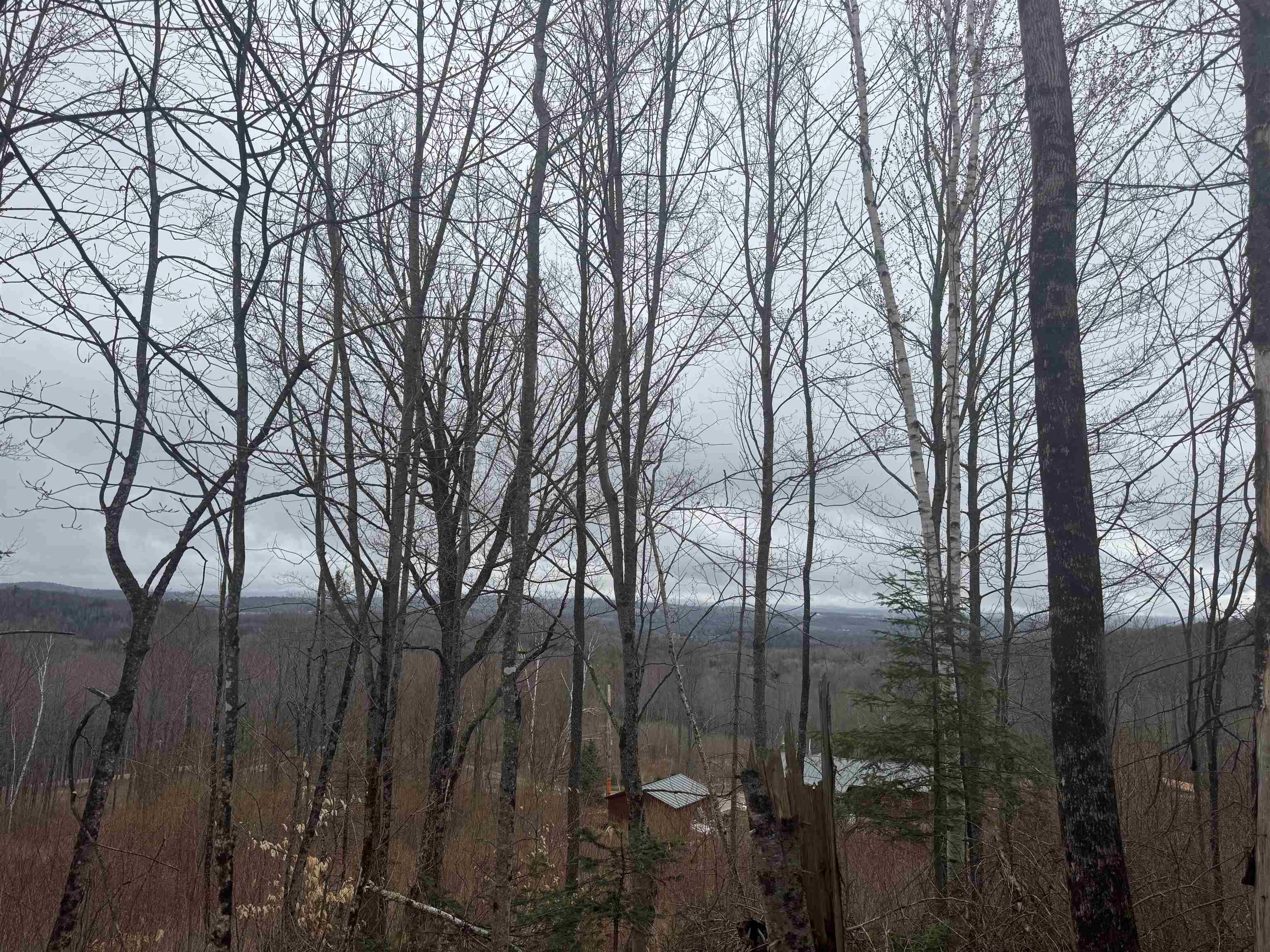 231 John Rock Road Wheelock, VT 05851 - Photo 10 of 22