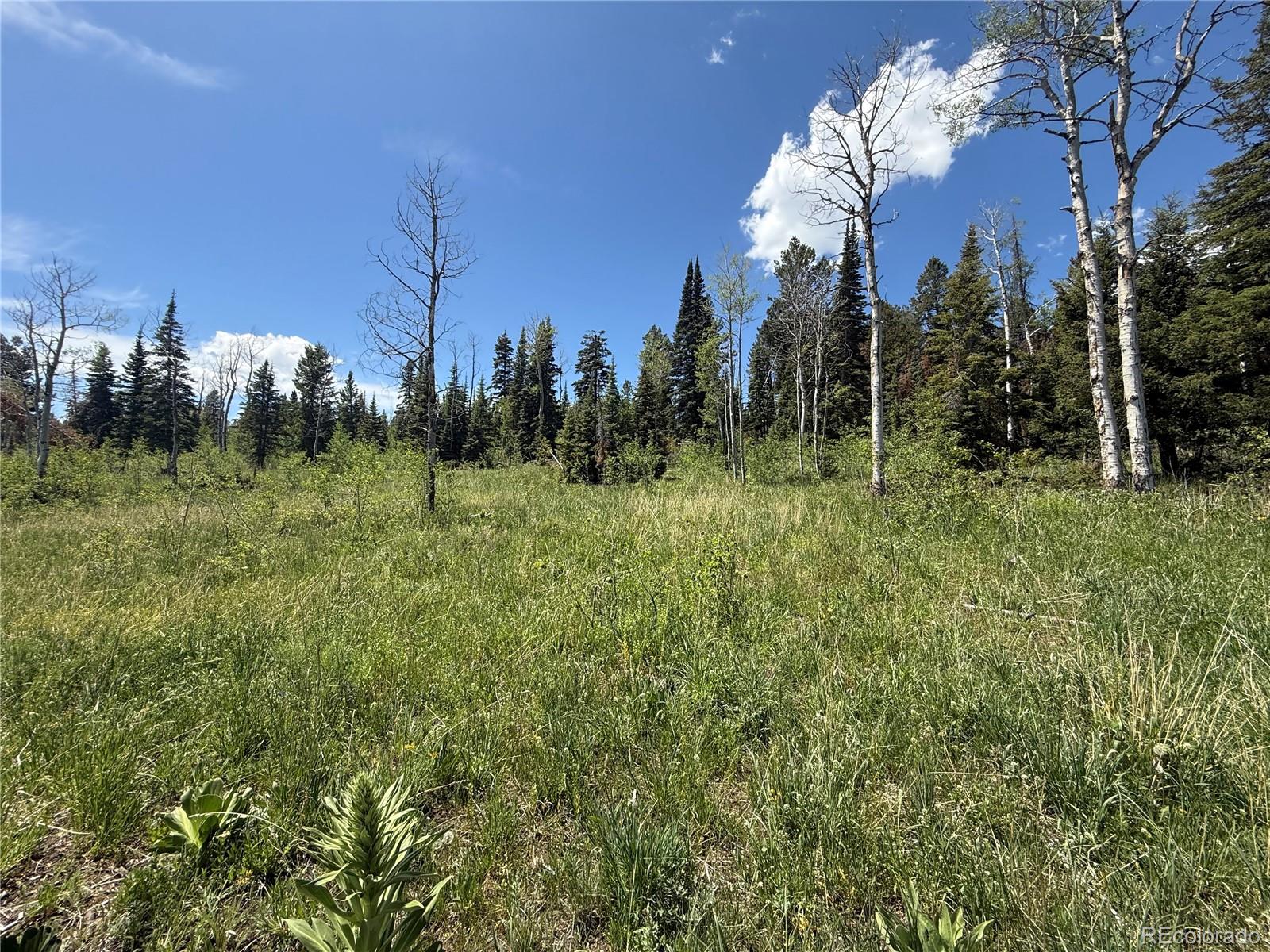 Spring Creek Ranch Road Silverthorne, CO 80498 - Photo 16 of 38