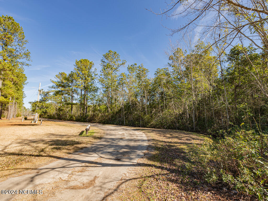 0 Hallsboro Road South Whiteville, NC 28472 - Photo 18 of 27 18
