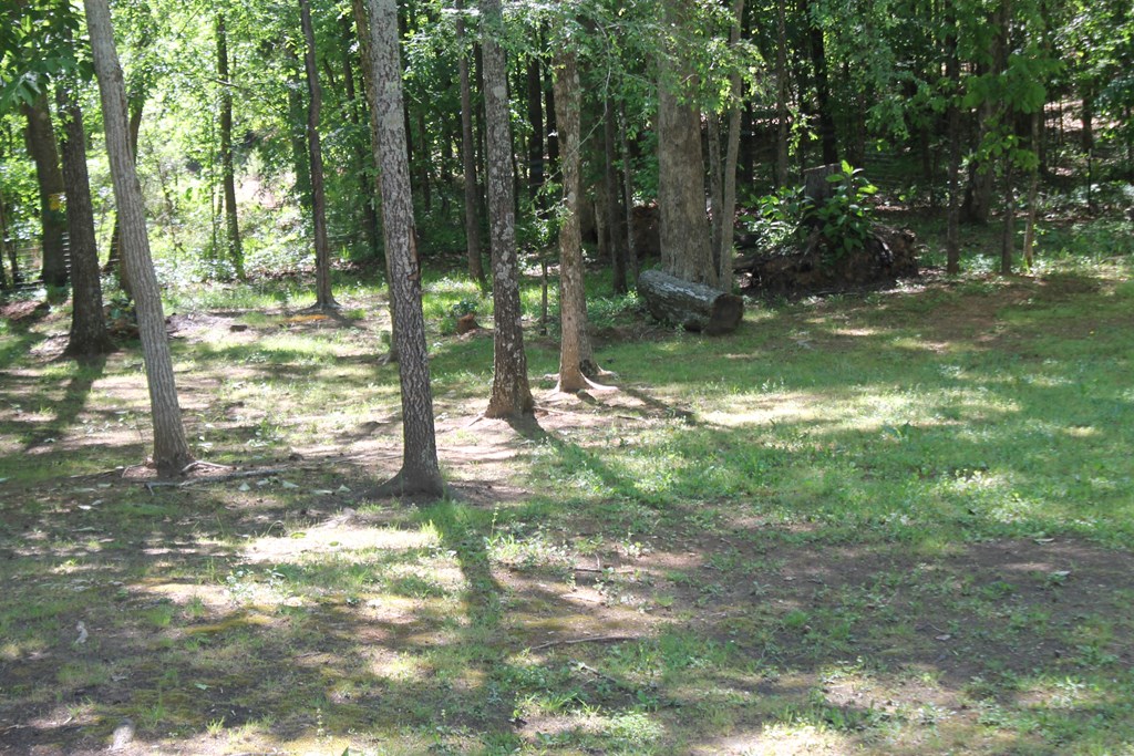 7375 Riverfork Road Waterloo, SC 29384 - Photo 40 of 50