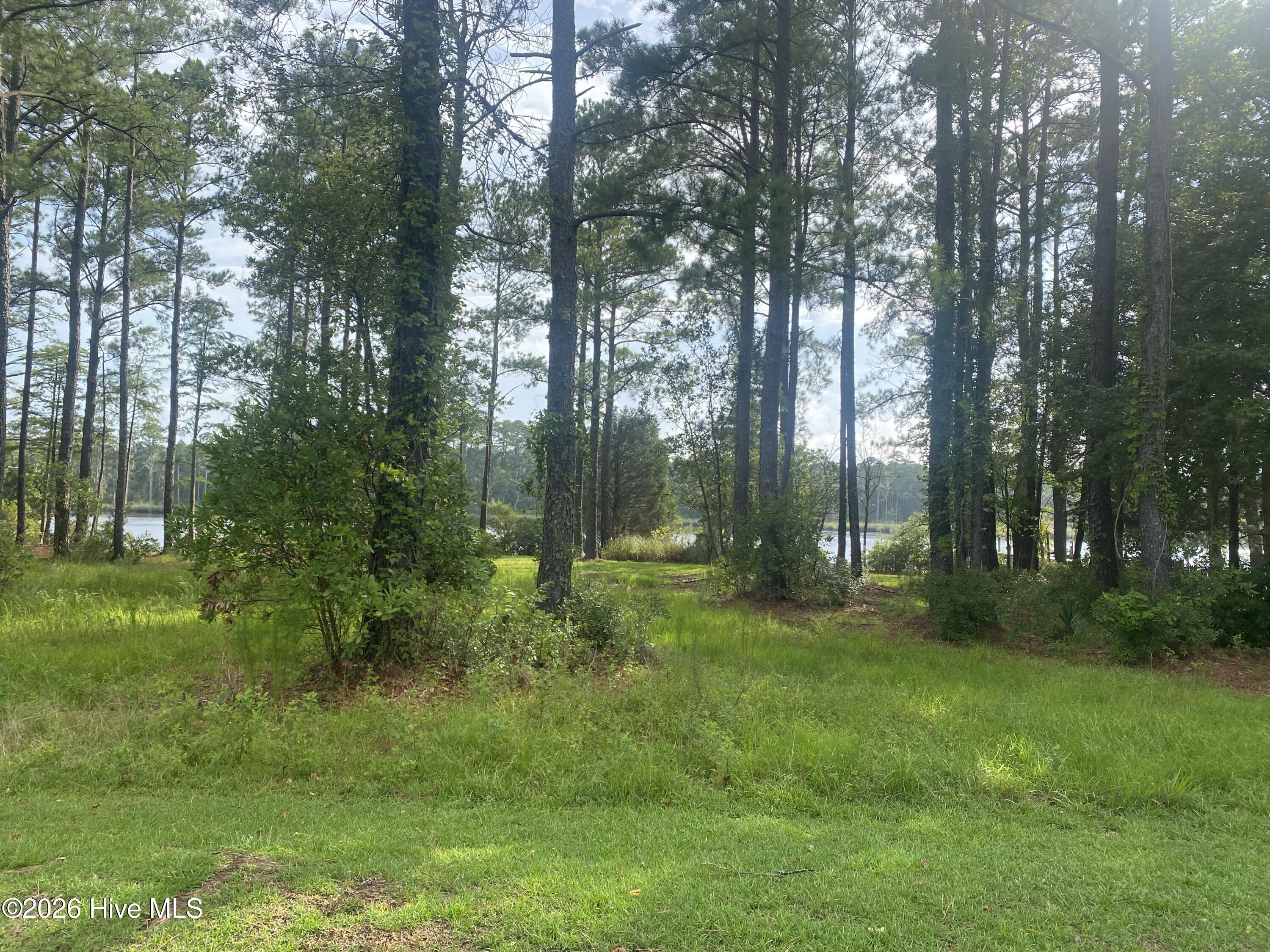 5316 Trade Winds Road New Bern, NC 28560 - Photo 3 of 15 IMG_8335