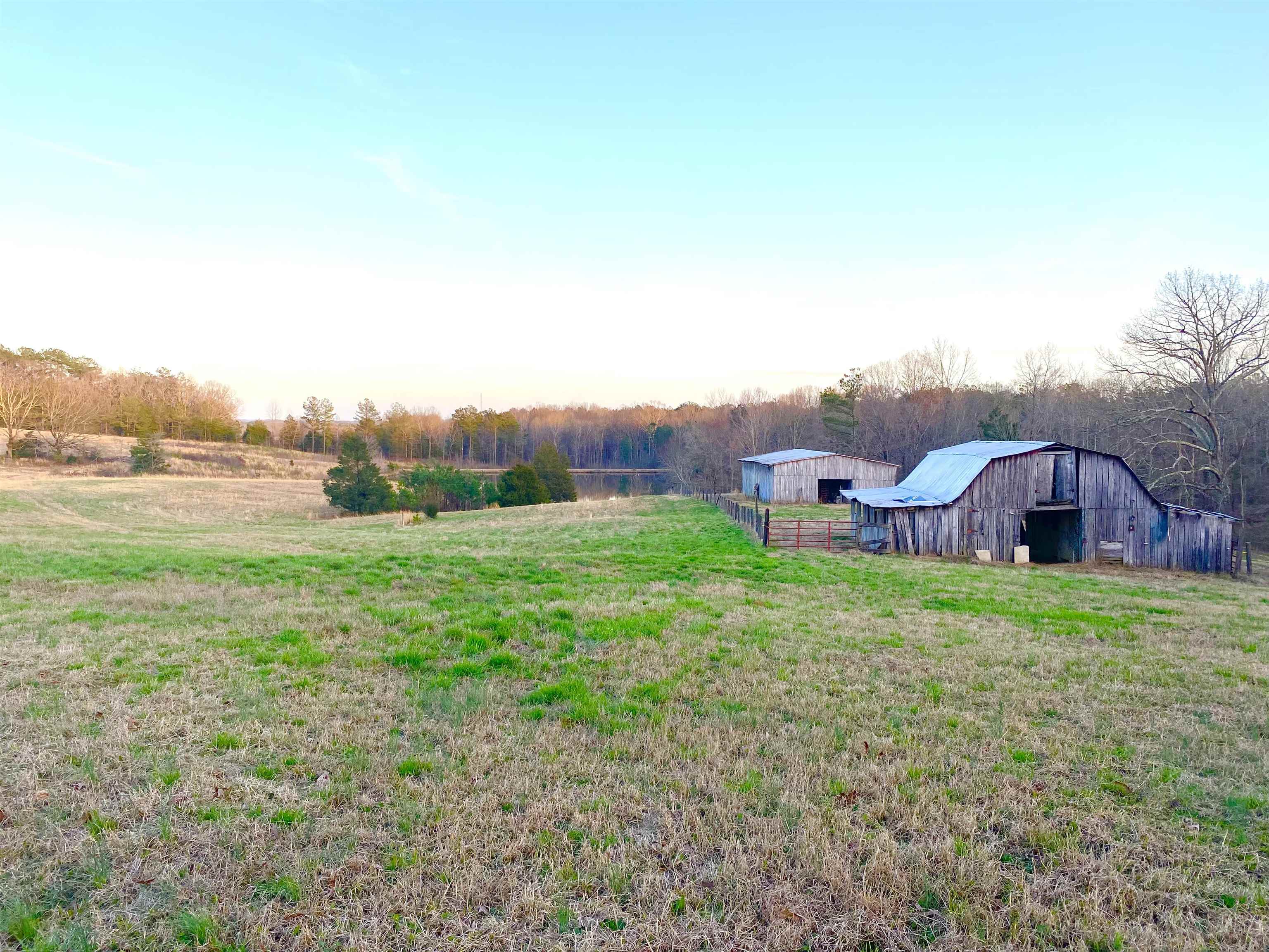 a view of a big yard with large trees