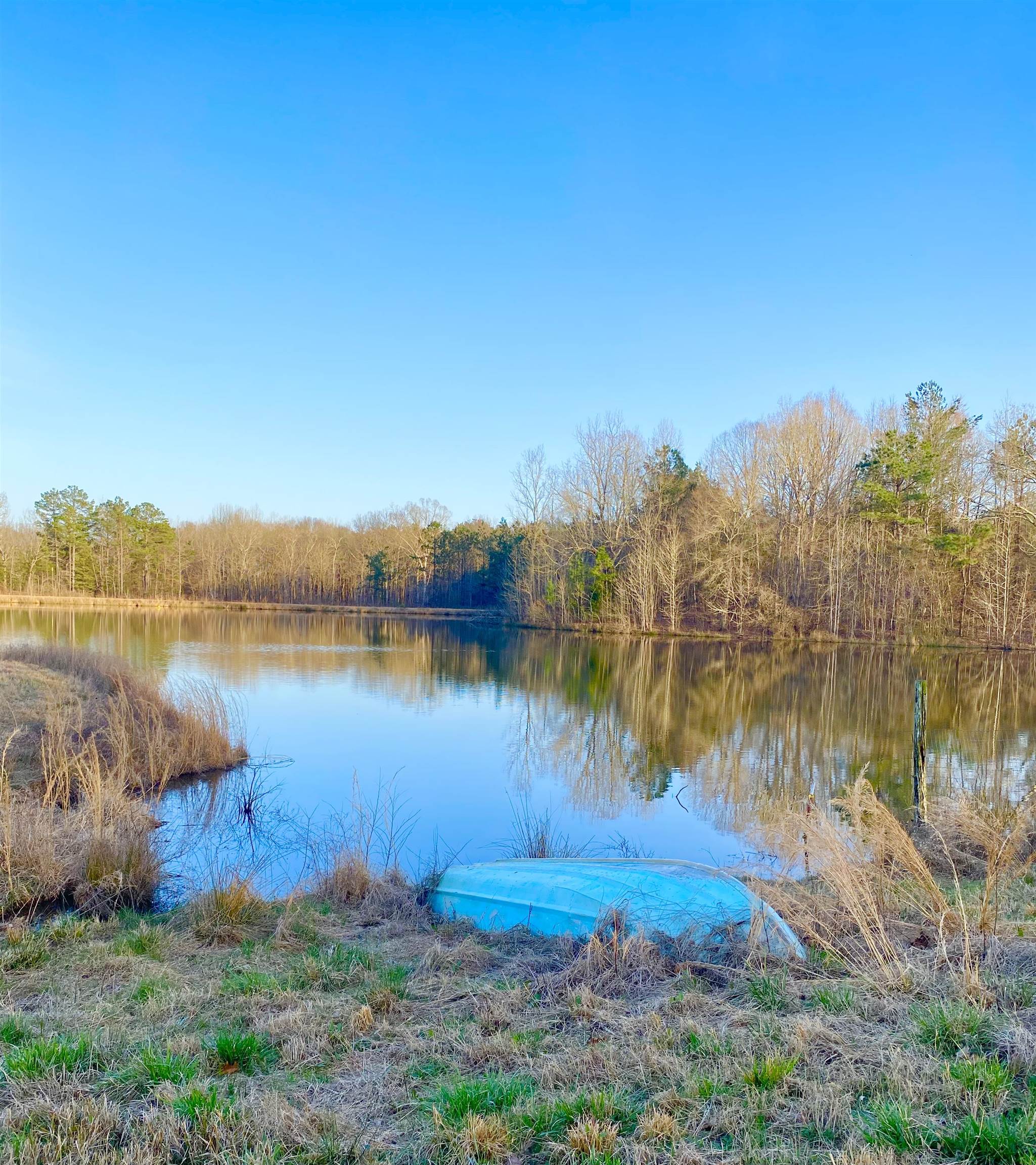 335 Gentry Chapel Road Middleton, TN 38052 - Photo 4 of 11 a view of a lake with a big yard