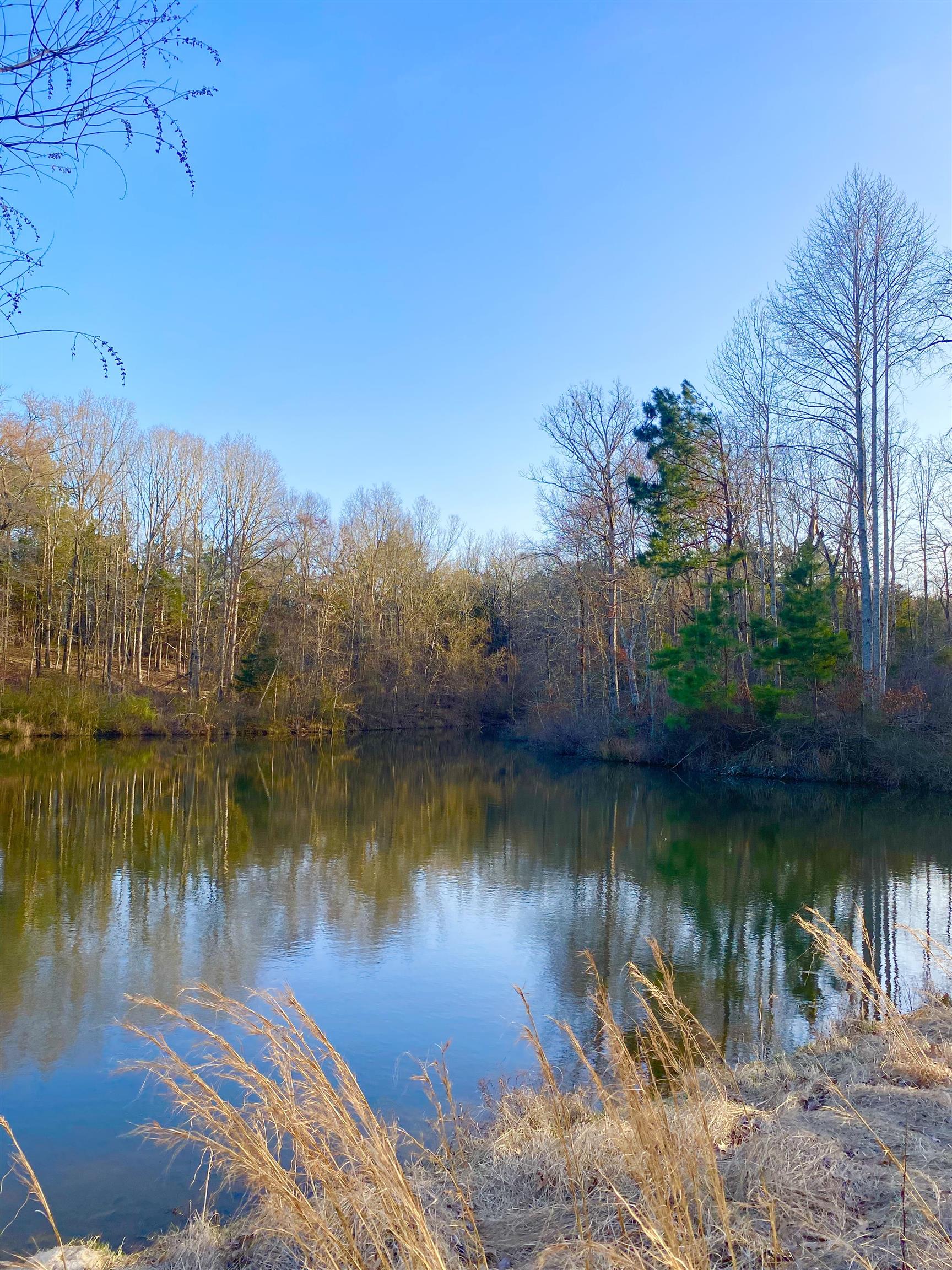 335 Gentry Chapel Road Middleton, TN 38052 - Photo 5 of 11 a view of a lake with houses in the back