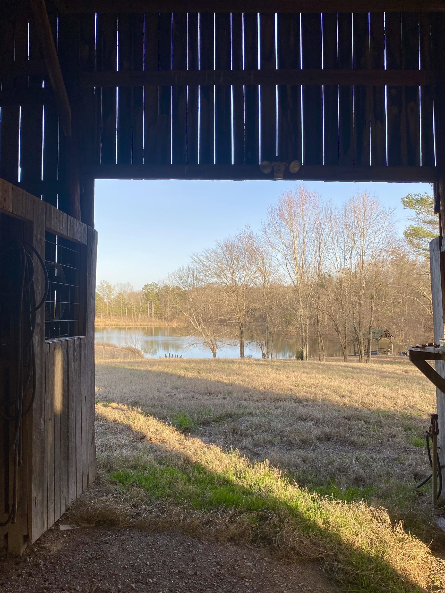 335 Gentry Chapel Road Middleton, TN 38052 - Photo 8 of 11