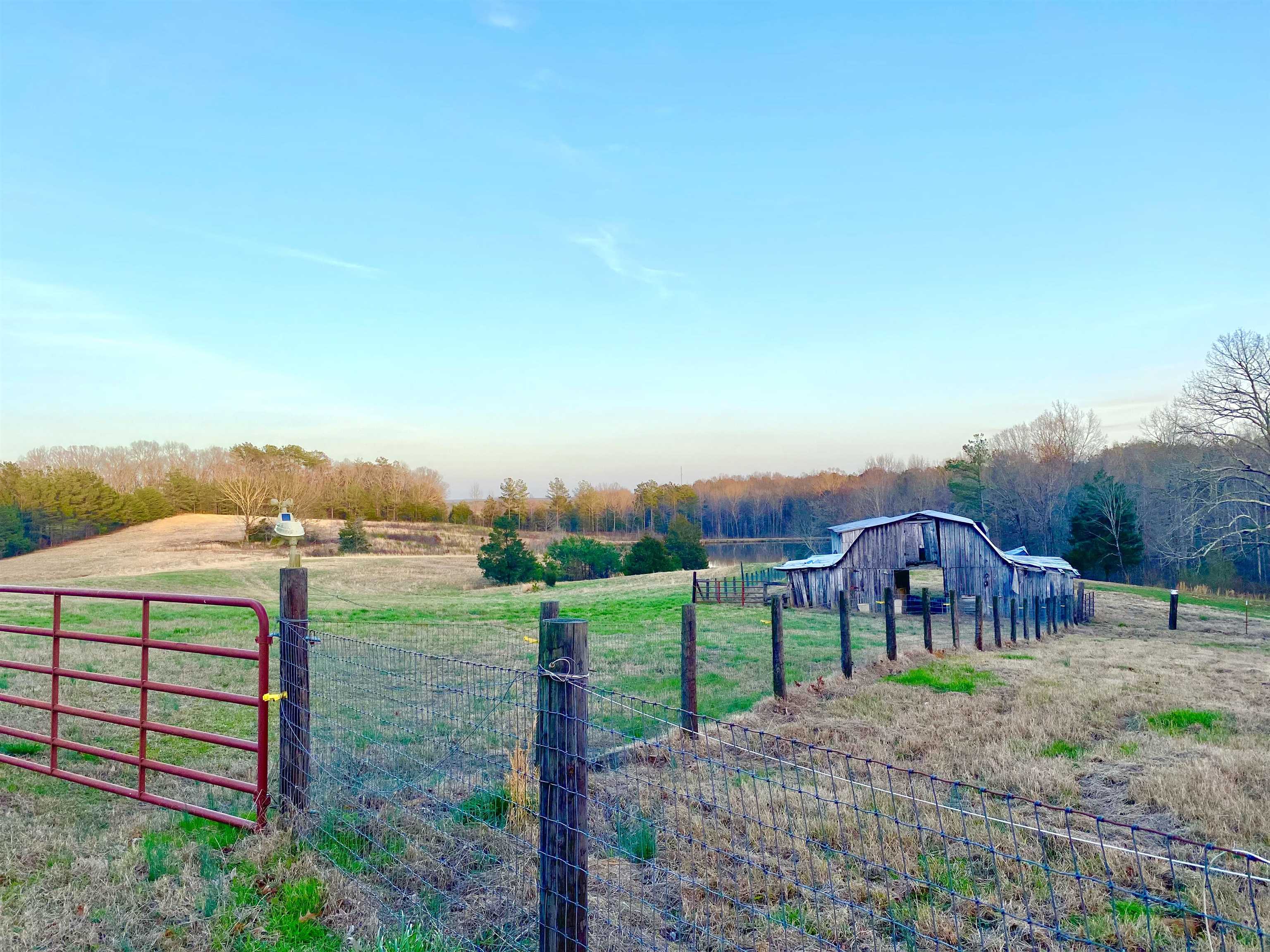 335 Gentry Chapel Road Middleton, TN 38052 - Photo 9 of 11 a view of a garden with a building in the background