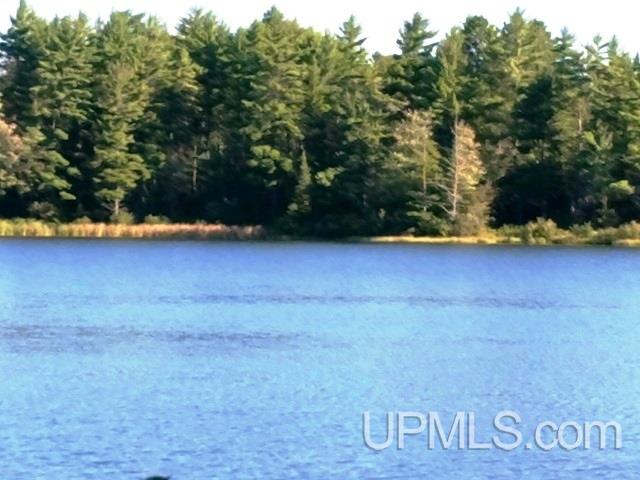 Tbd West Paint Lake Road, Unit J Iron River, MI 49935 - Photo 1 of 17
