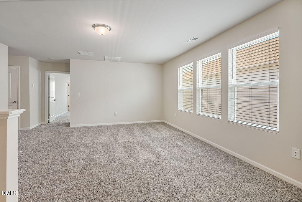 87 Anise Tree Way Clayton, NC 27527 - Photo 22 of 40 DSC09841