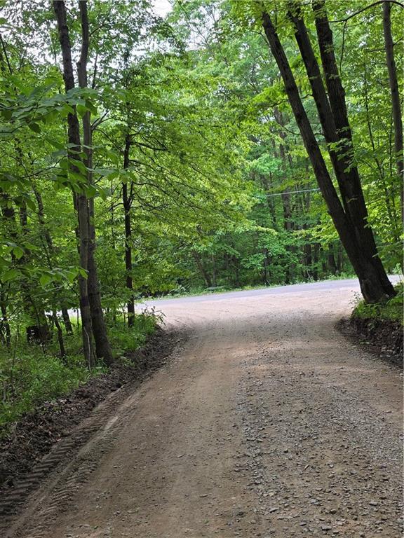 0 Silvis Road Homer City, PA 15748 - Photo 8 of 13
