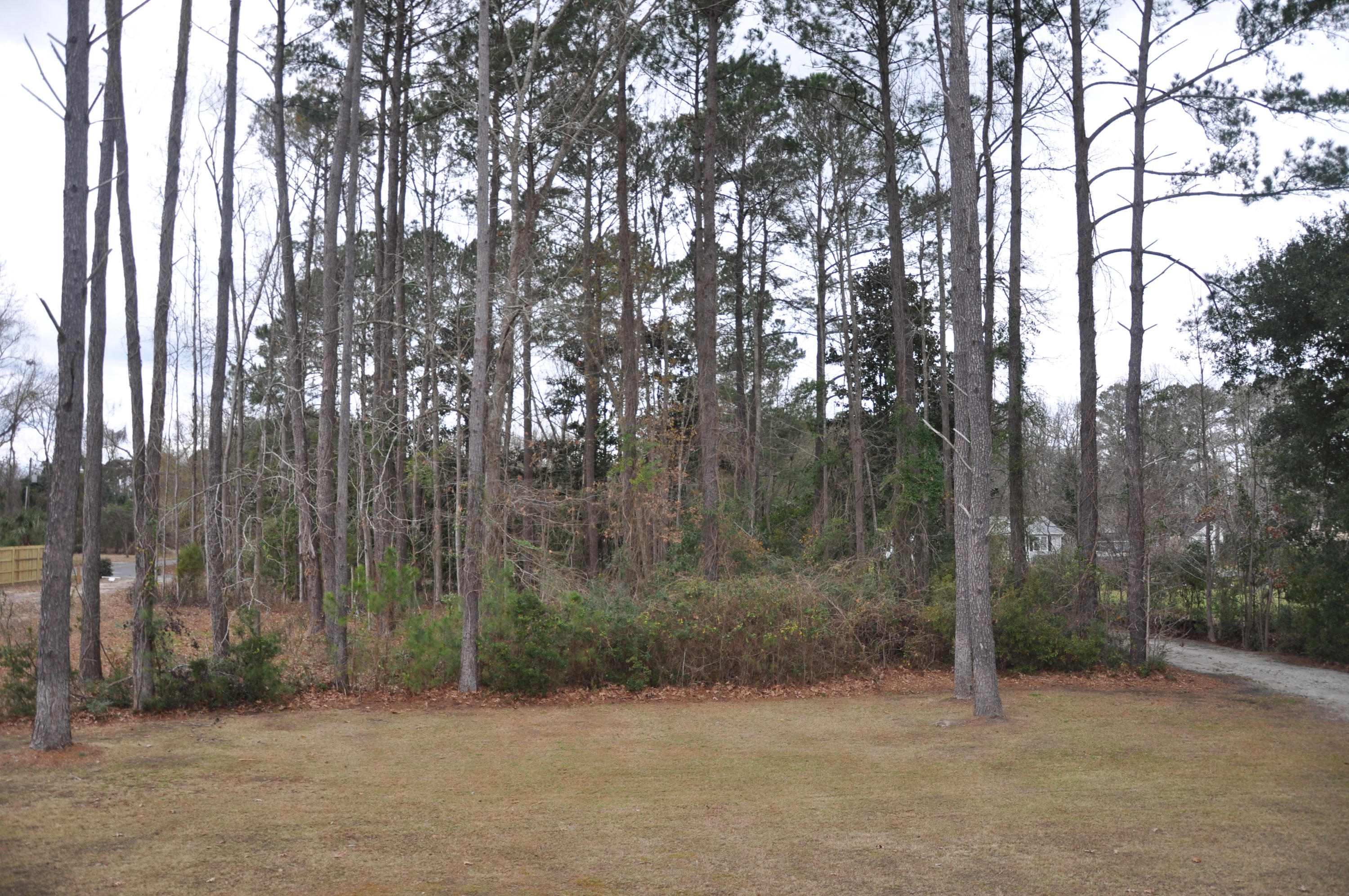 7327 Commodore Road Hollywood, SC 29449 - Photo 33 of 37 Front lot
