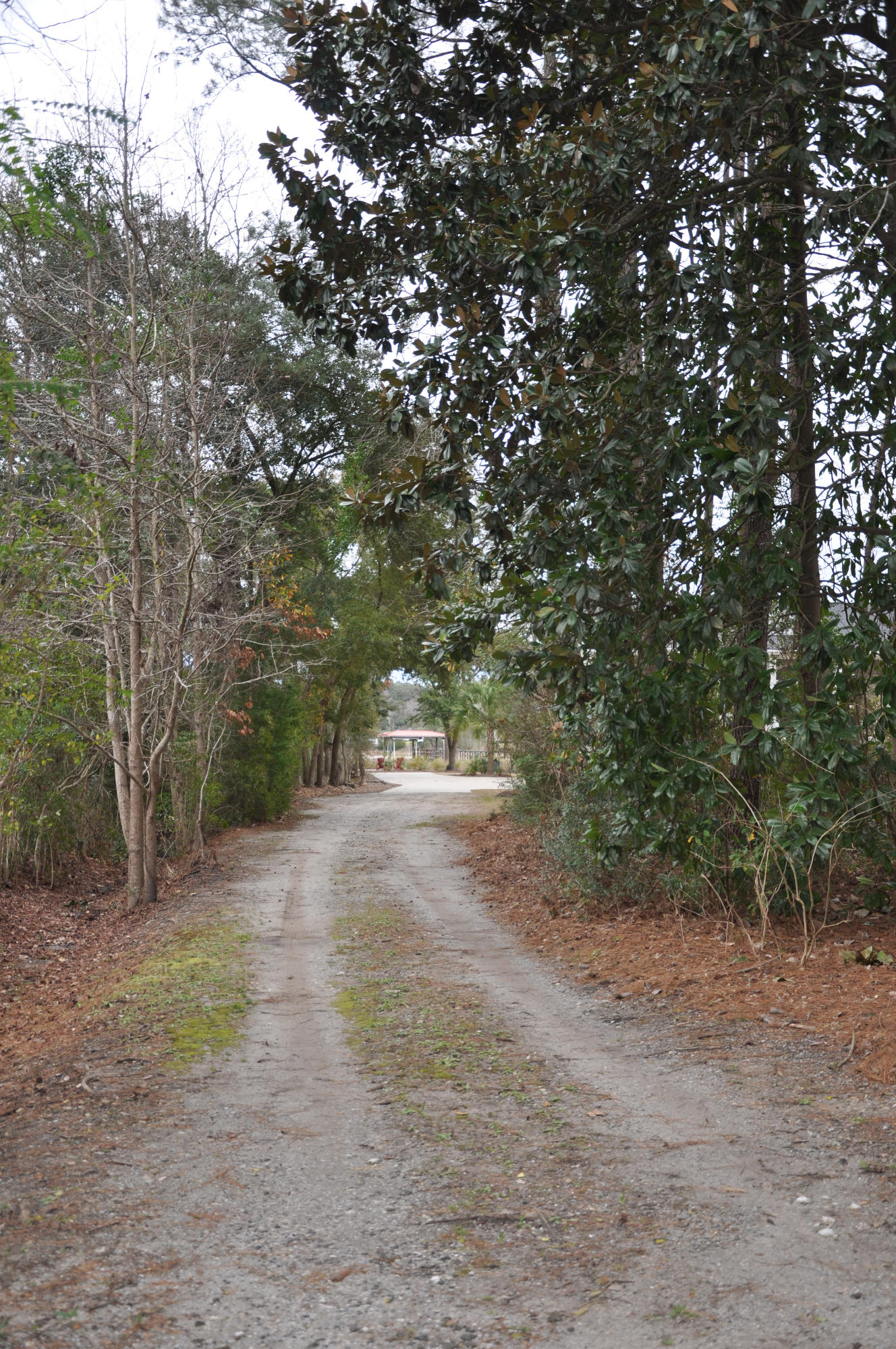 7327 Commodore Road Hollywood, SC 29449 - Photo 35 of 37 Driveway