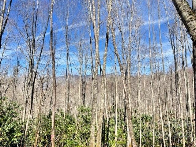 5 Preserve Road, Unit 5 Sylva, NC 28779 - Photo 3 of 19 a view of small yard with large trees