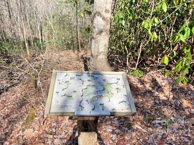 5 Preserve Road, Unit 5 Sylva, NC 28779 - Photo 4 of 19 a view of painting on the wall
