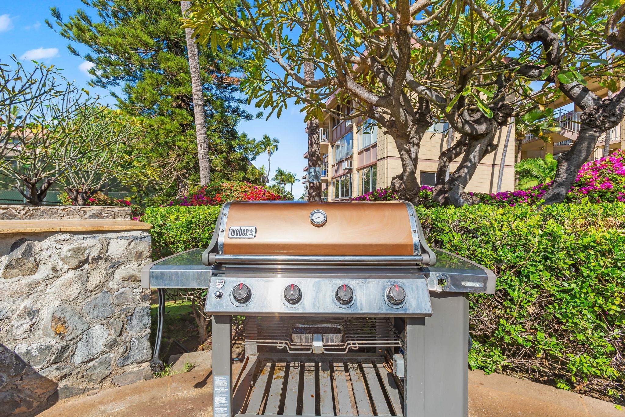 2619 South Kihei Road, Unit A403 Kihei, HI 96753 - Photo 42 of 42