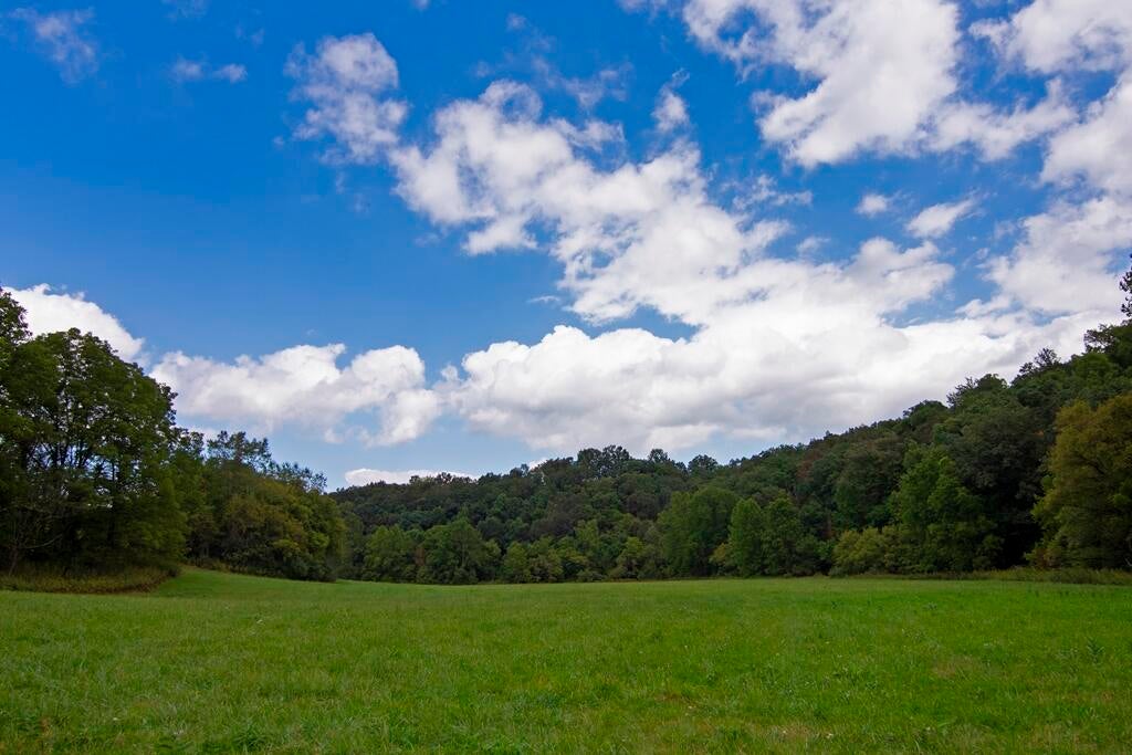 Seneca Trail Union Lindside, WV 24951 - Photo 27 of 50 Gallery Image 27