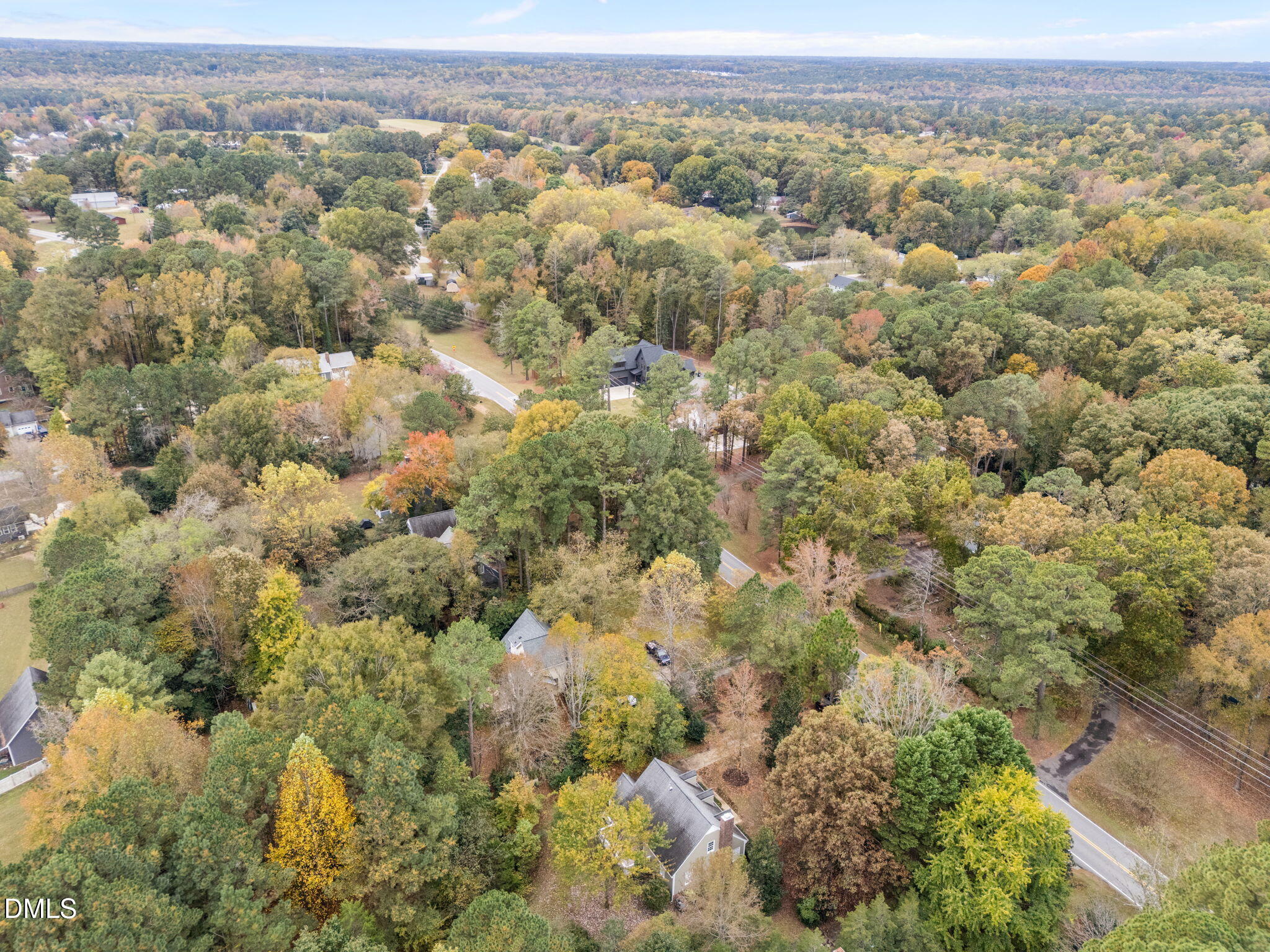 8405 Bells Lake Road Apex, NC 27539 - Photo 39 of 44 an aerial view of forest