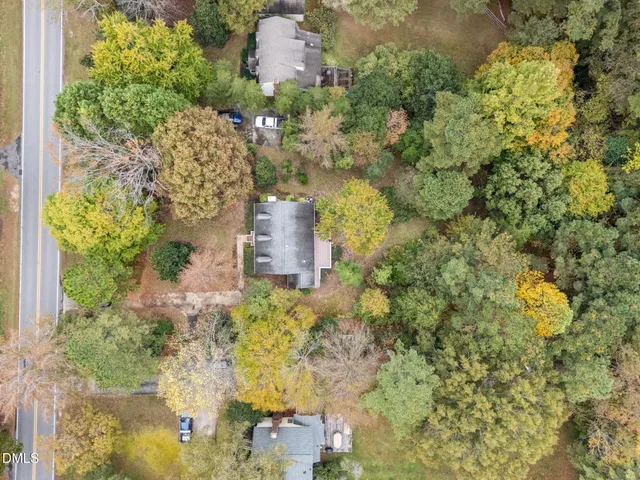 a close up of a trees in a garden