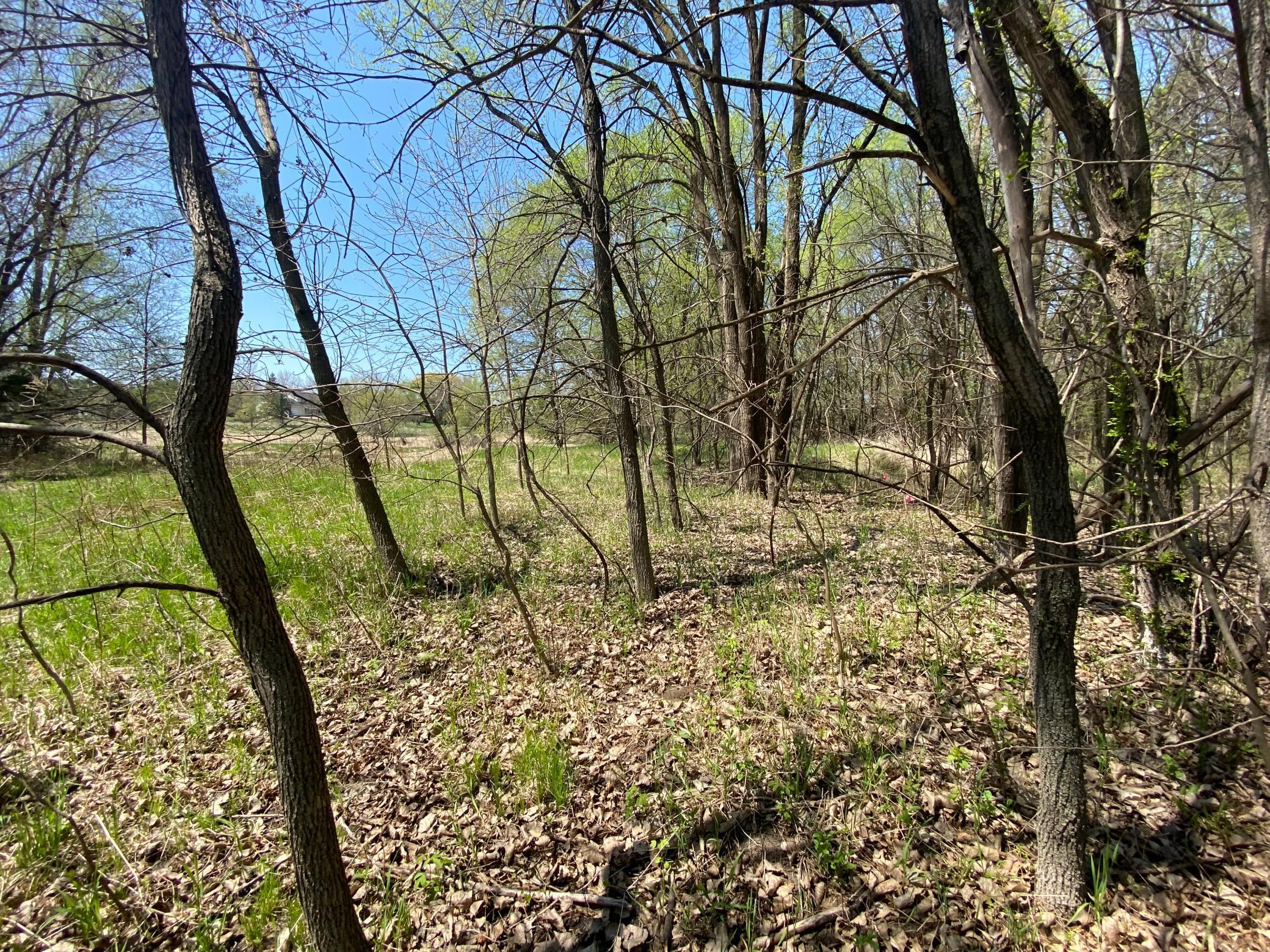 20072 Lander Street Northwest Elk River, MN 55330 - Photo 12 of 29