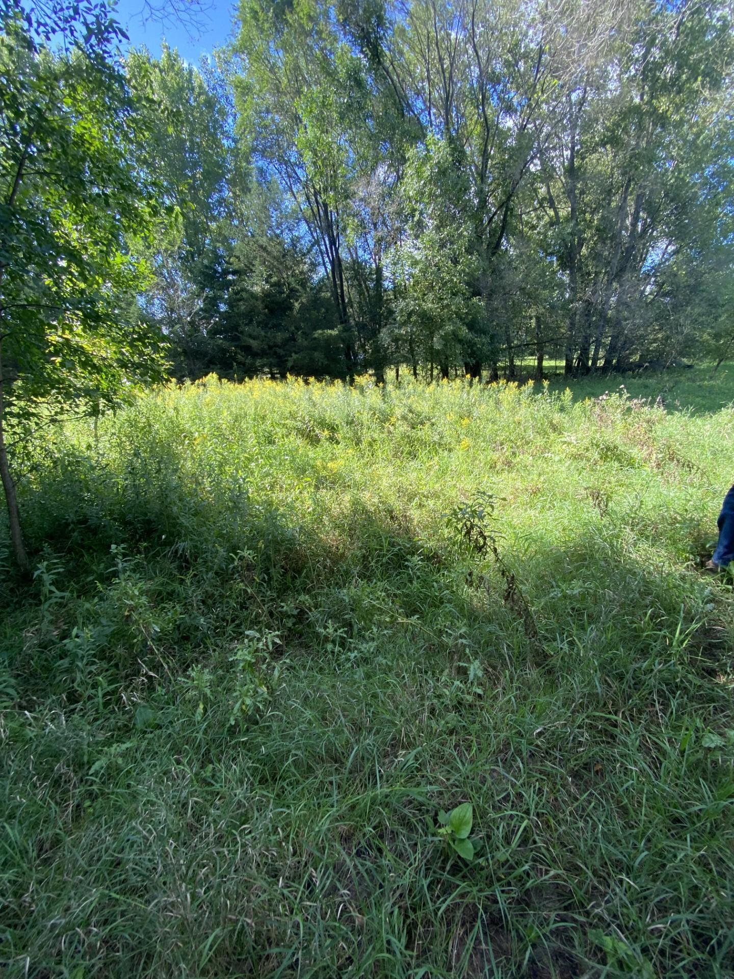 20072 Lander Street Northwest Elk River, MN 55330 - Photo 20 of 29