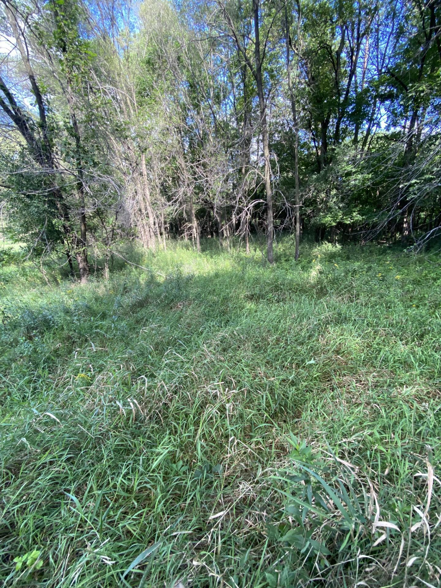 20072 Lander Street Northwest Elk River, MN 55330 - Photo 22 of 29