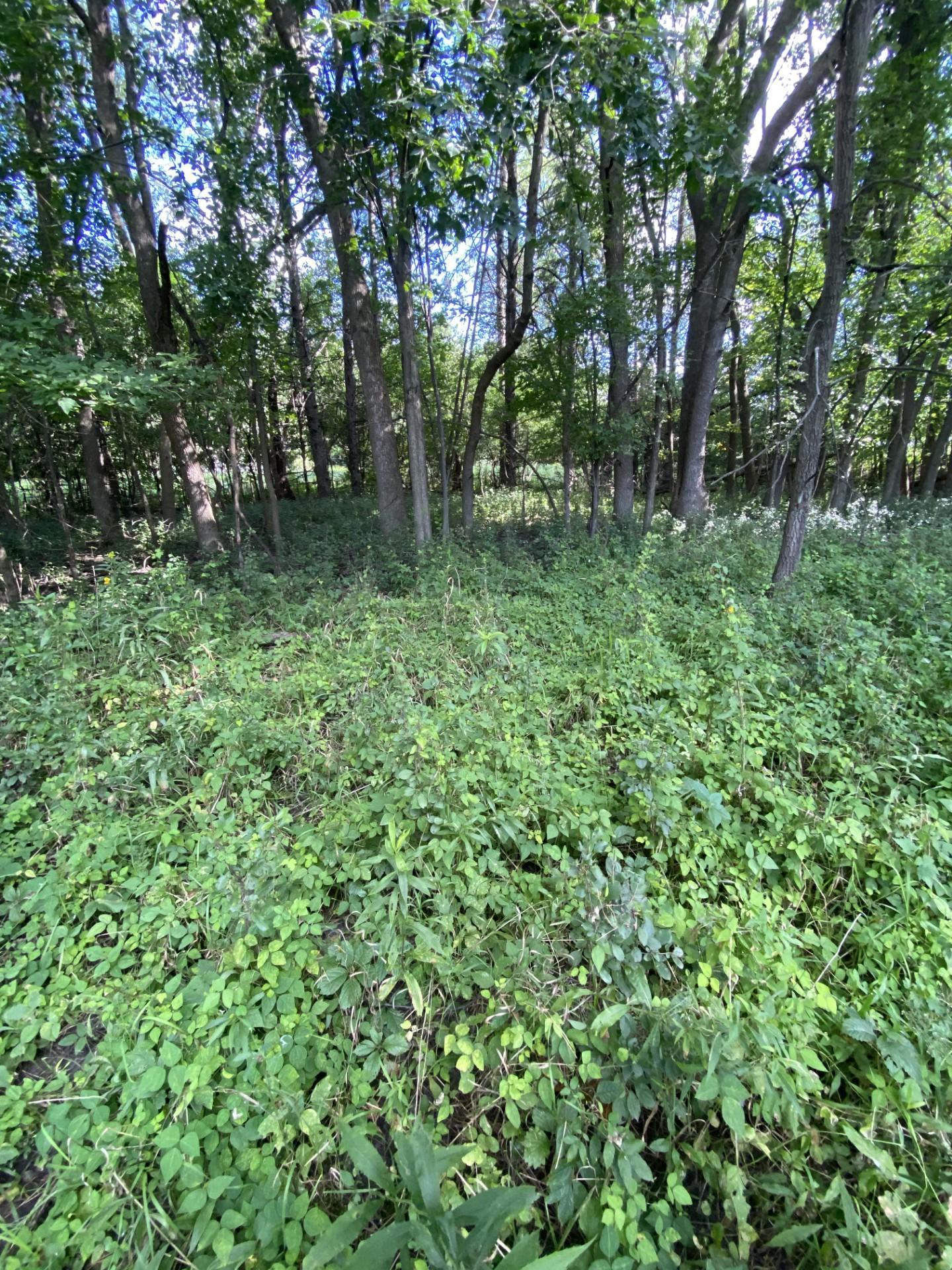 20072 Lander Street Northwest Elk River, MN 55330 - Photo 24 of 29