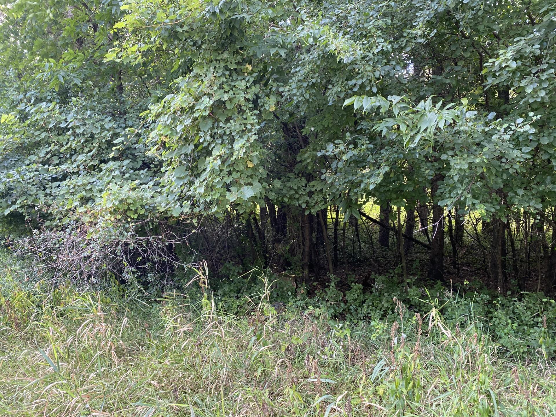 20072 Lander Street Northwest Elk River, MN 55330 - Photo 25 of 29