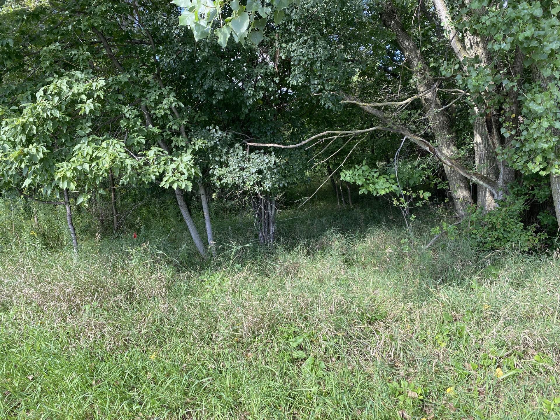 20072 Lander Street Northwest Elk River, MN 55330 - Photo 26 of 29