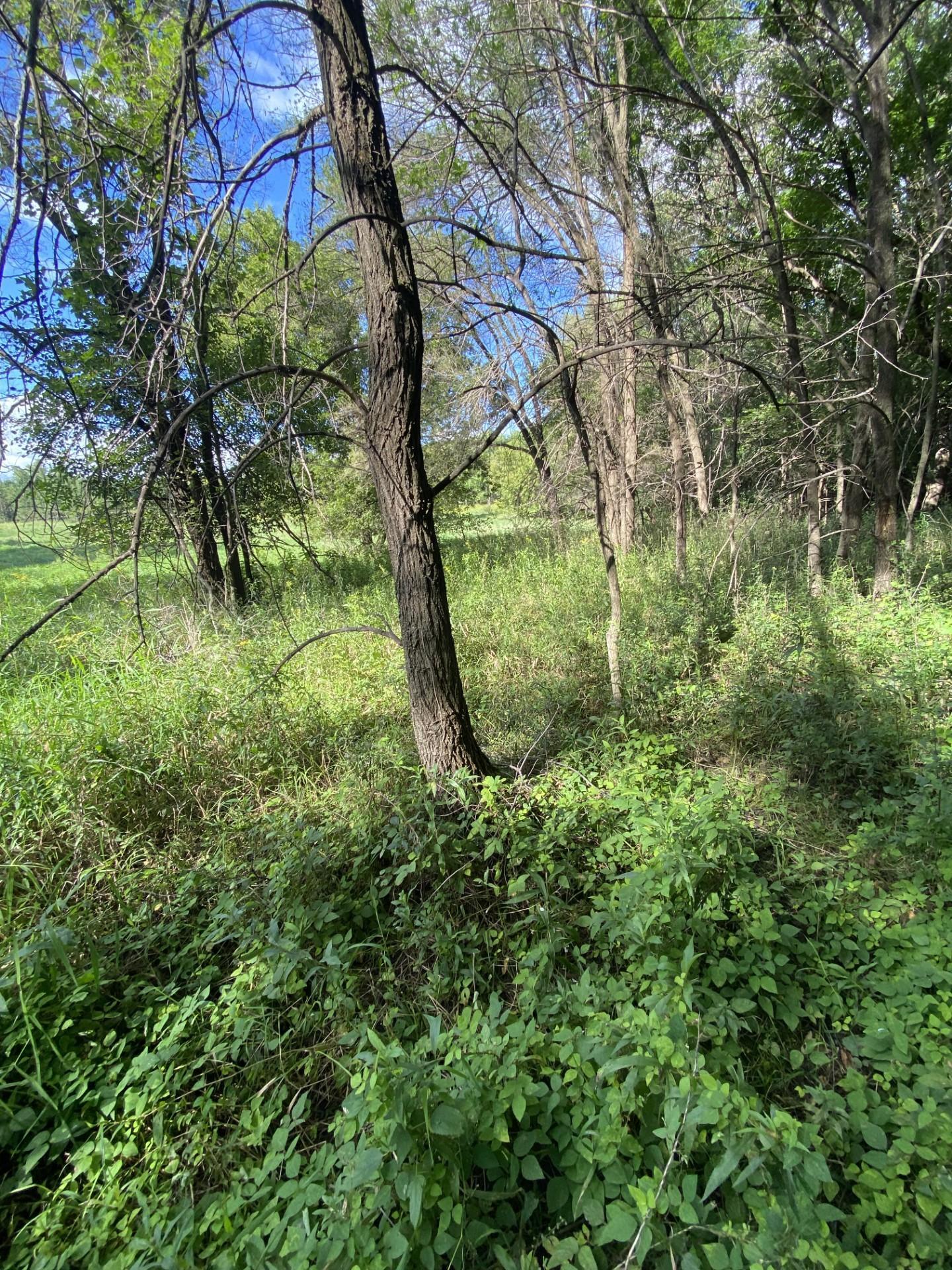 20072 Lander Street Northwest Elk River, MN 55330 - Photo 27 of 29