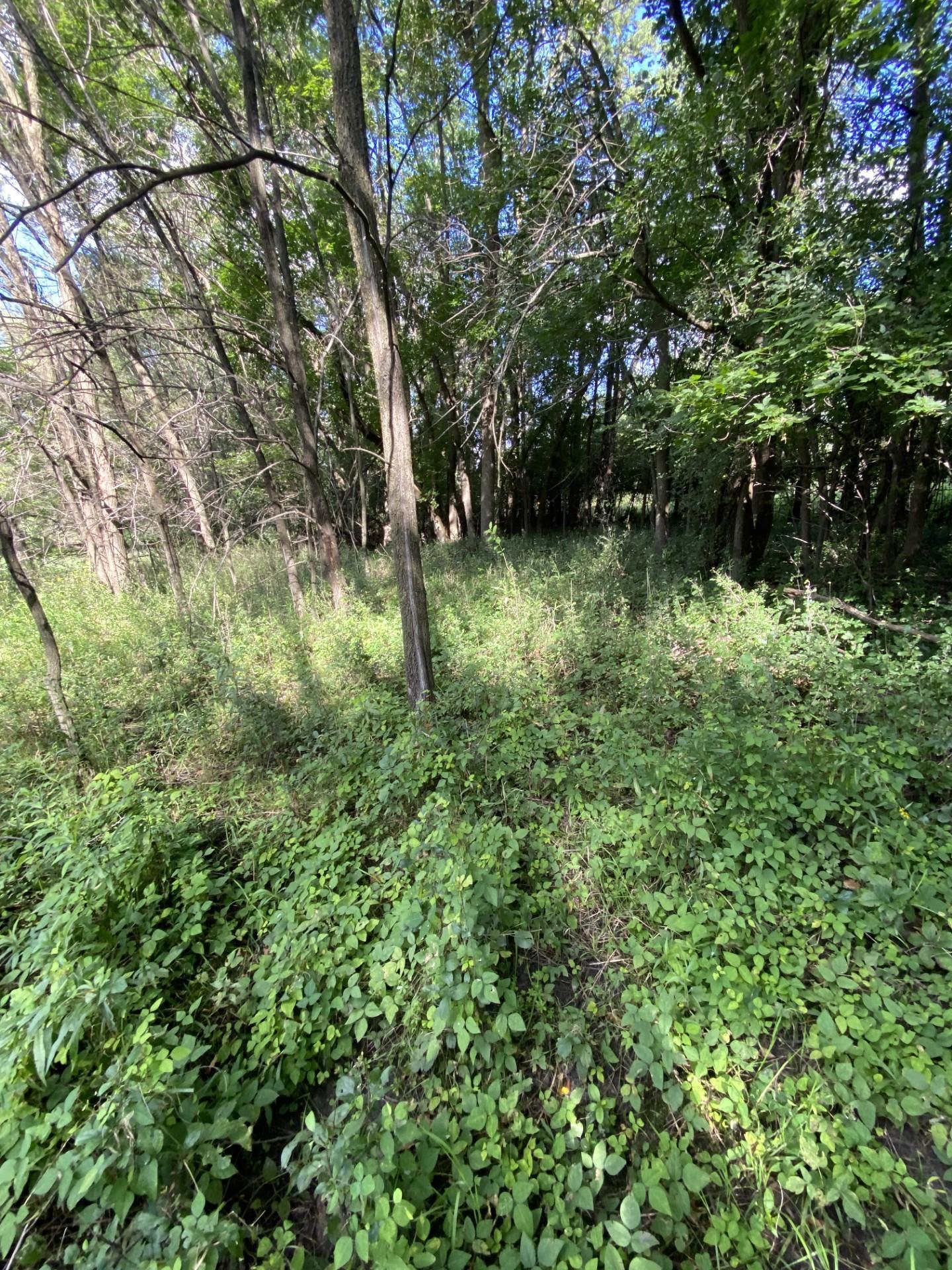 20072 Lander Street Northwest Elk River, MN 55330 - Photo 29 of 29