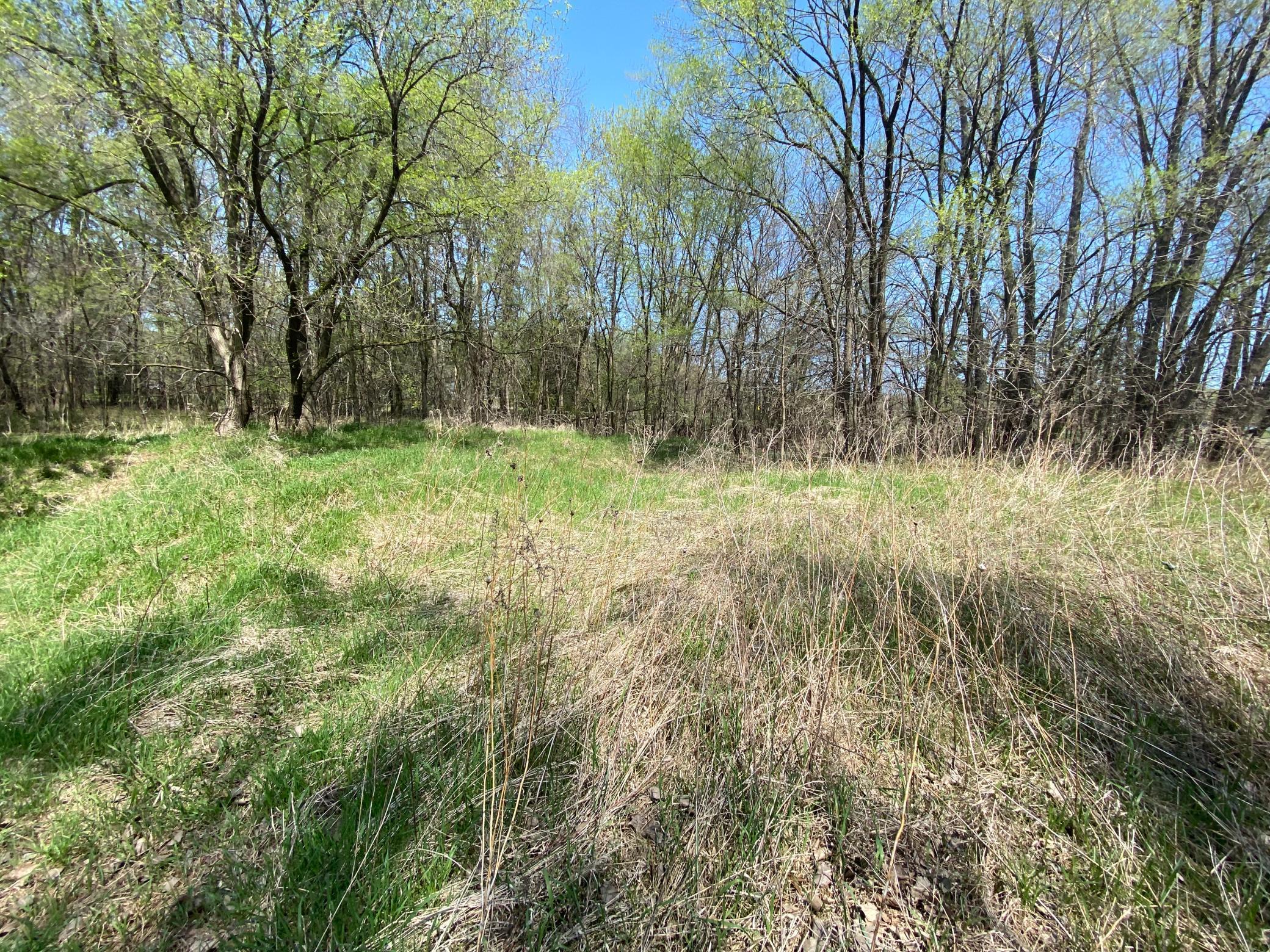 20072 Lander Street Northwest Elk River, MN 55330 - Photo 7 of 29